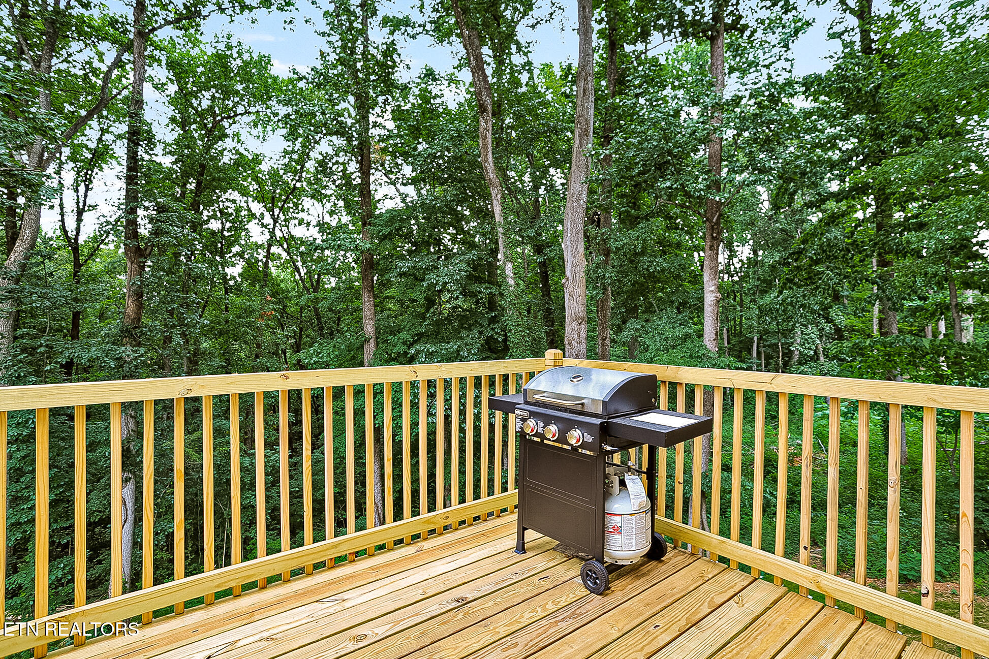 3642 Big Springs Road Maryville TN 37801
