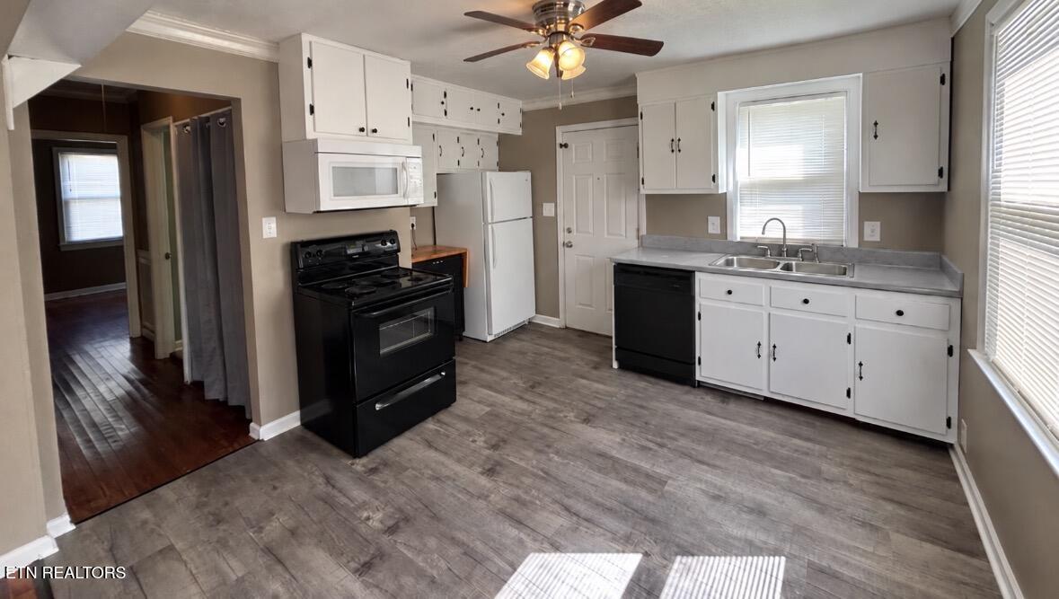 3410 Feathers Street Knoxville TN 37920