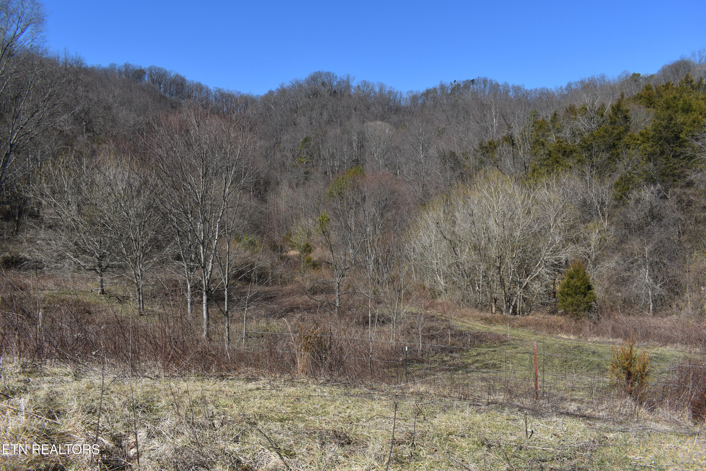 301 Smith Drive Harrogate TN 37752