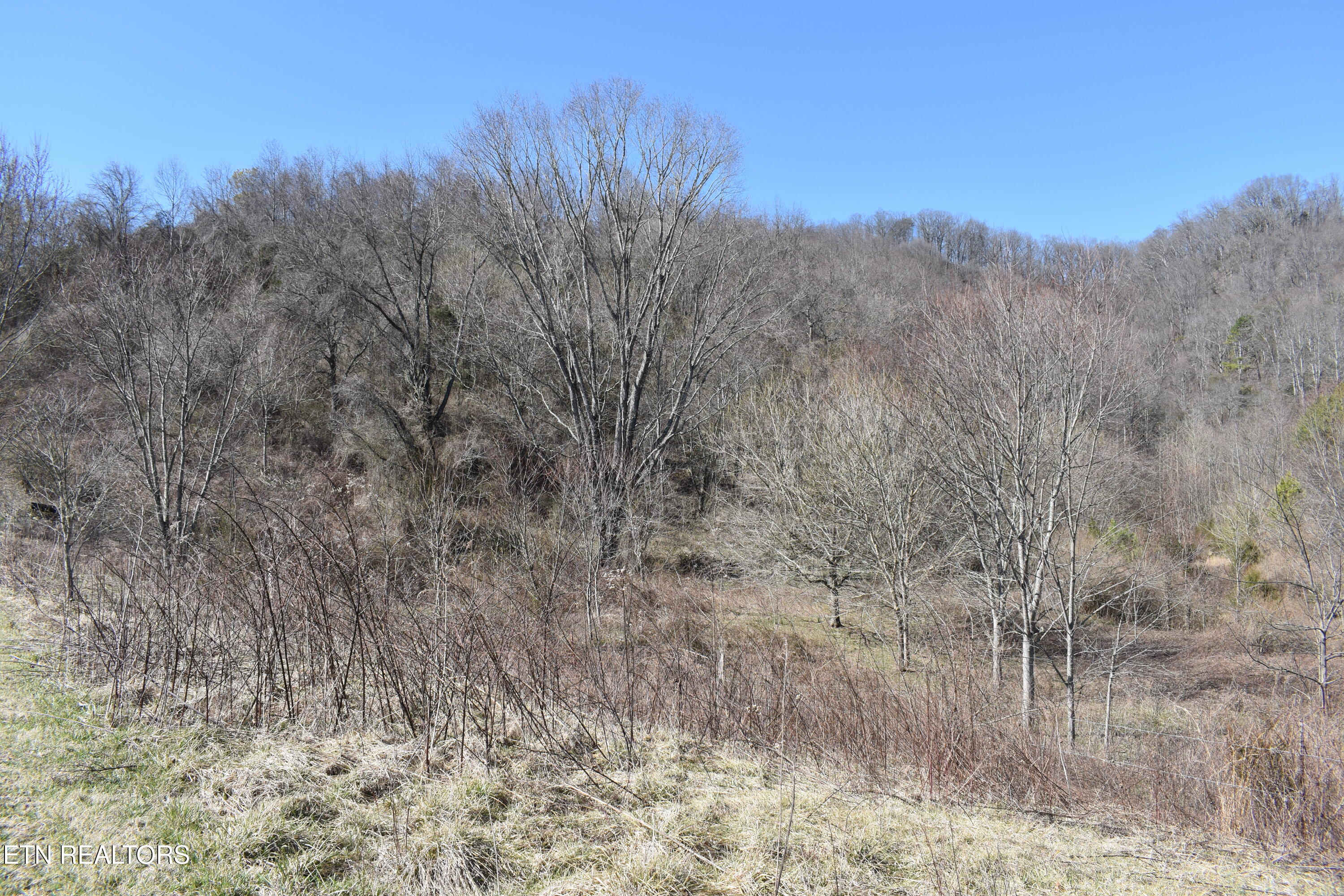 301 Smith Drive Harrogate TN 37752