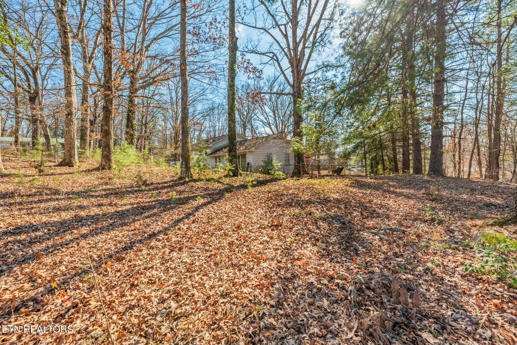 2629 Rahn Avenue Maryville TN 37804