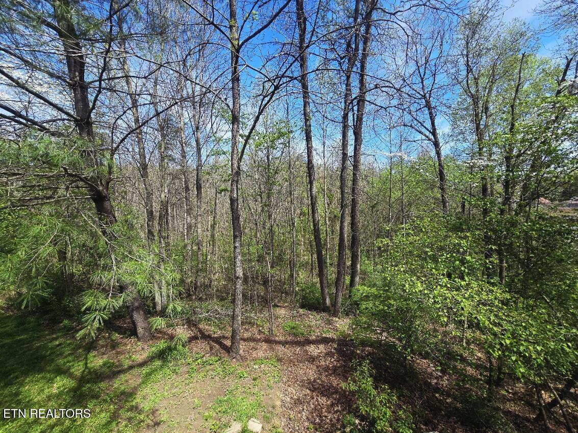210 Dogwood Avenue Oneida TN 37841