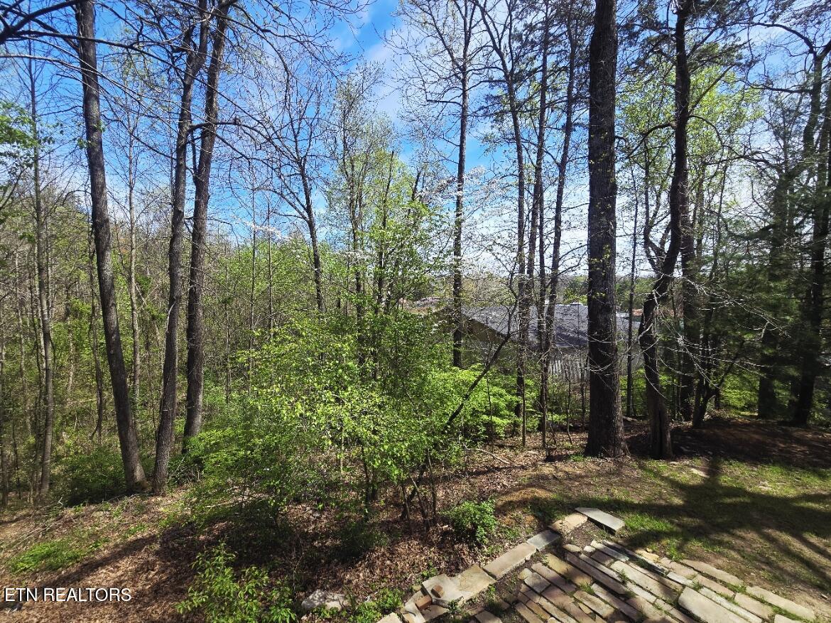 210 Dogwood Avenue Oneida TN 37841