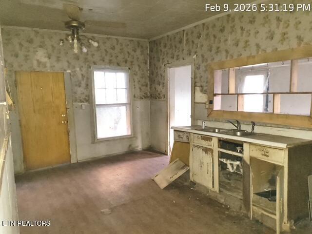 403 Lower Briceville Road Briceville TN 37710