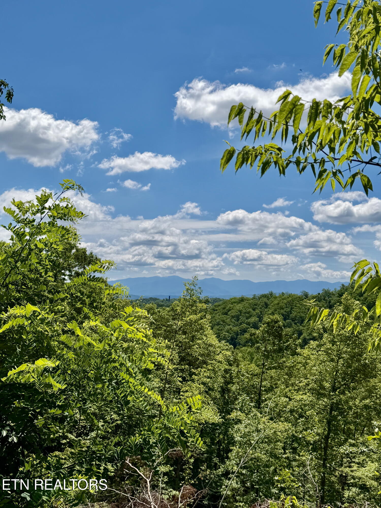 1798 Seagle Hollow Road Sevierville TN 37876