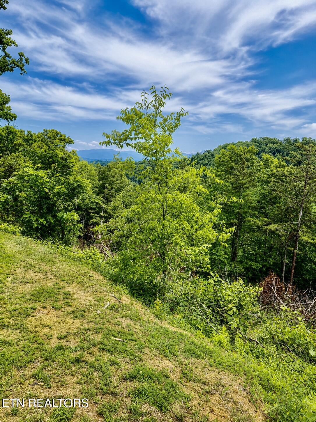 1798 Seagle Hollow Road Sevierville TN 37876