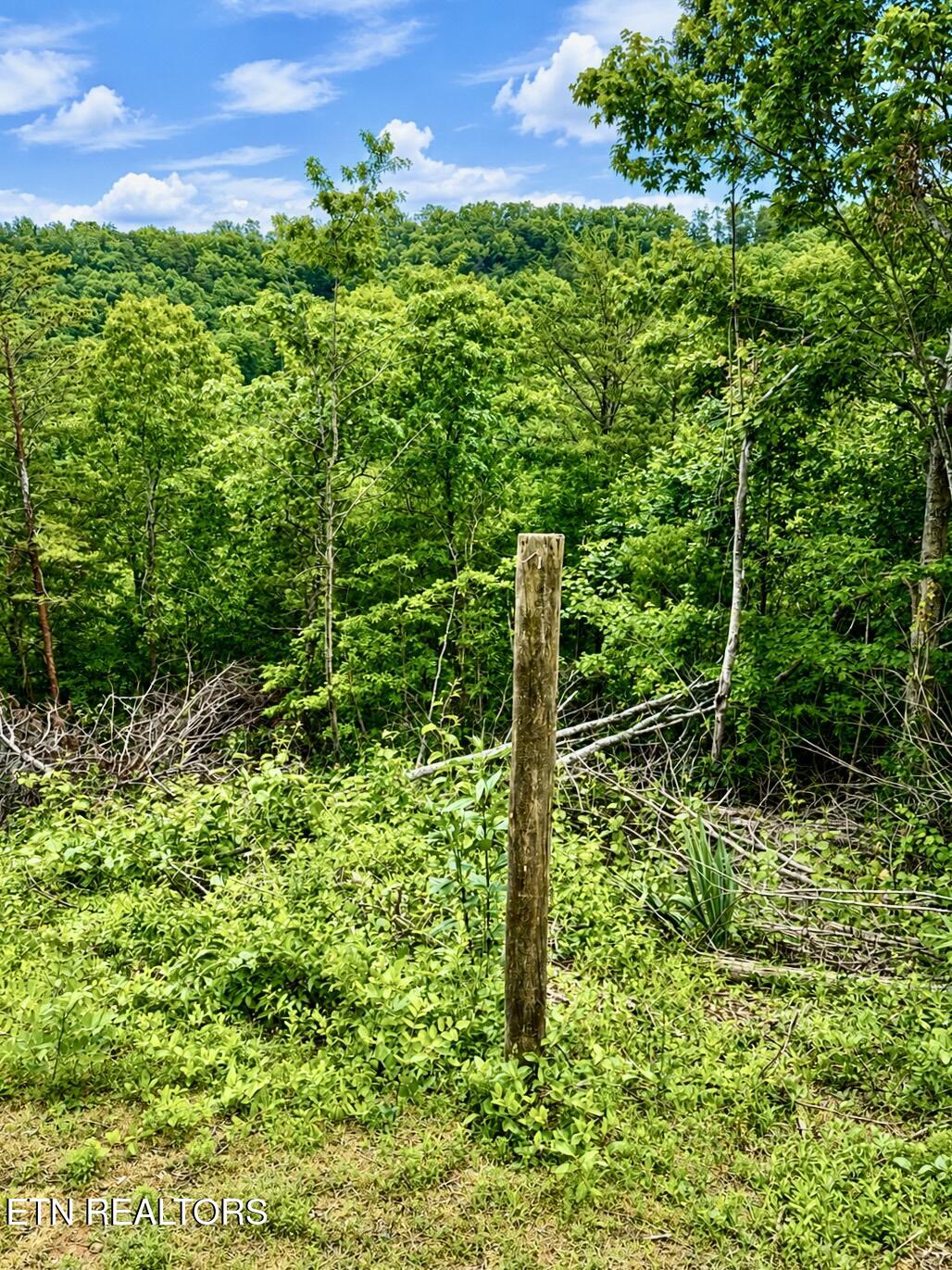 1798 Seagle Hollow Road Sevierville TN 37876