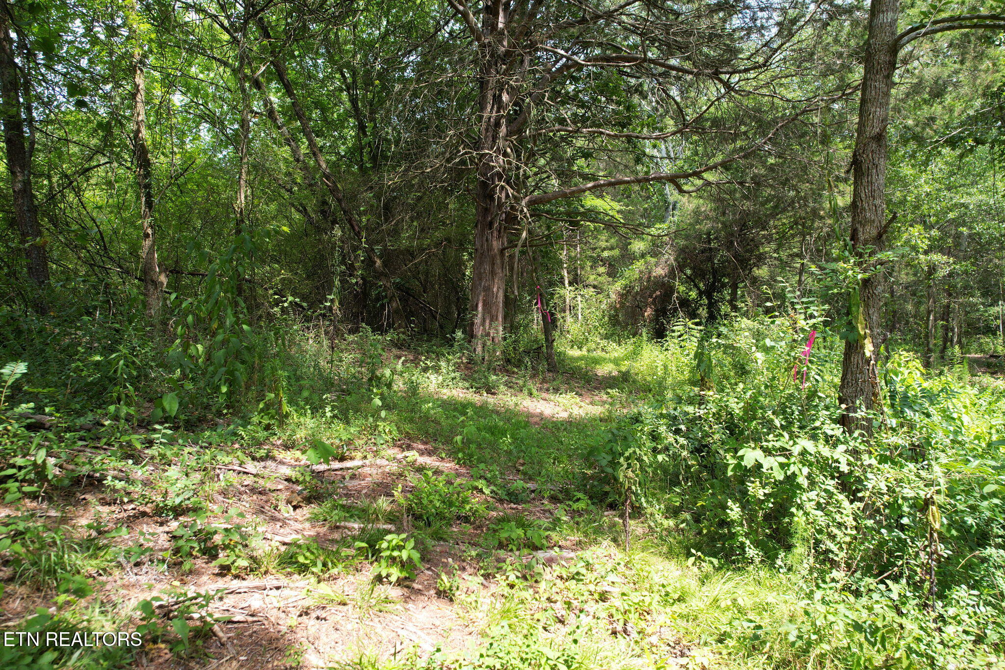 326 Mcclure Road Benton TN 37307