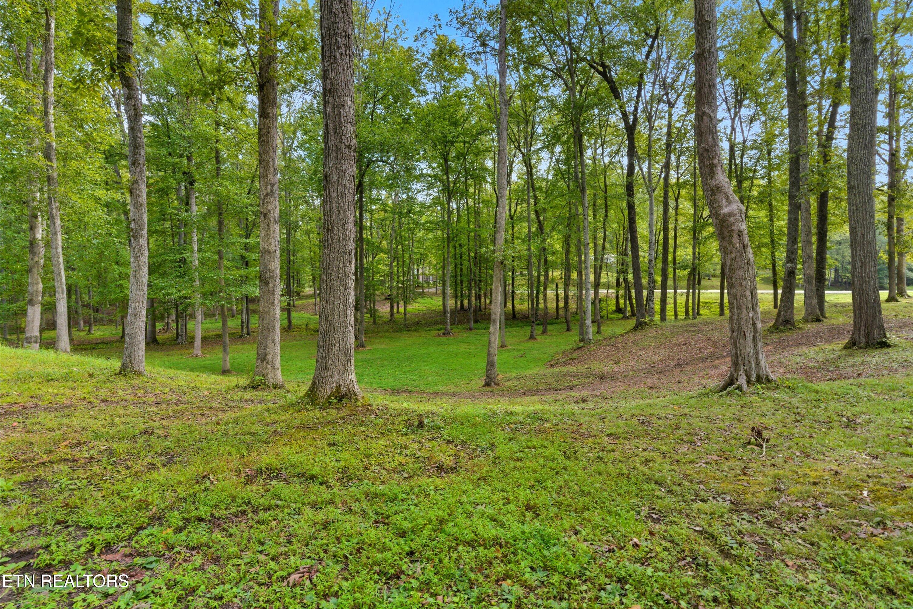 605 S Lake Drive Oneida TN 37841