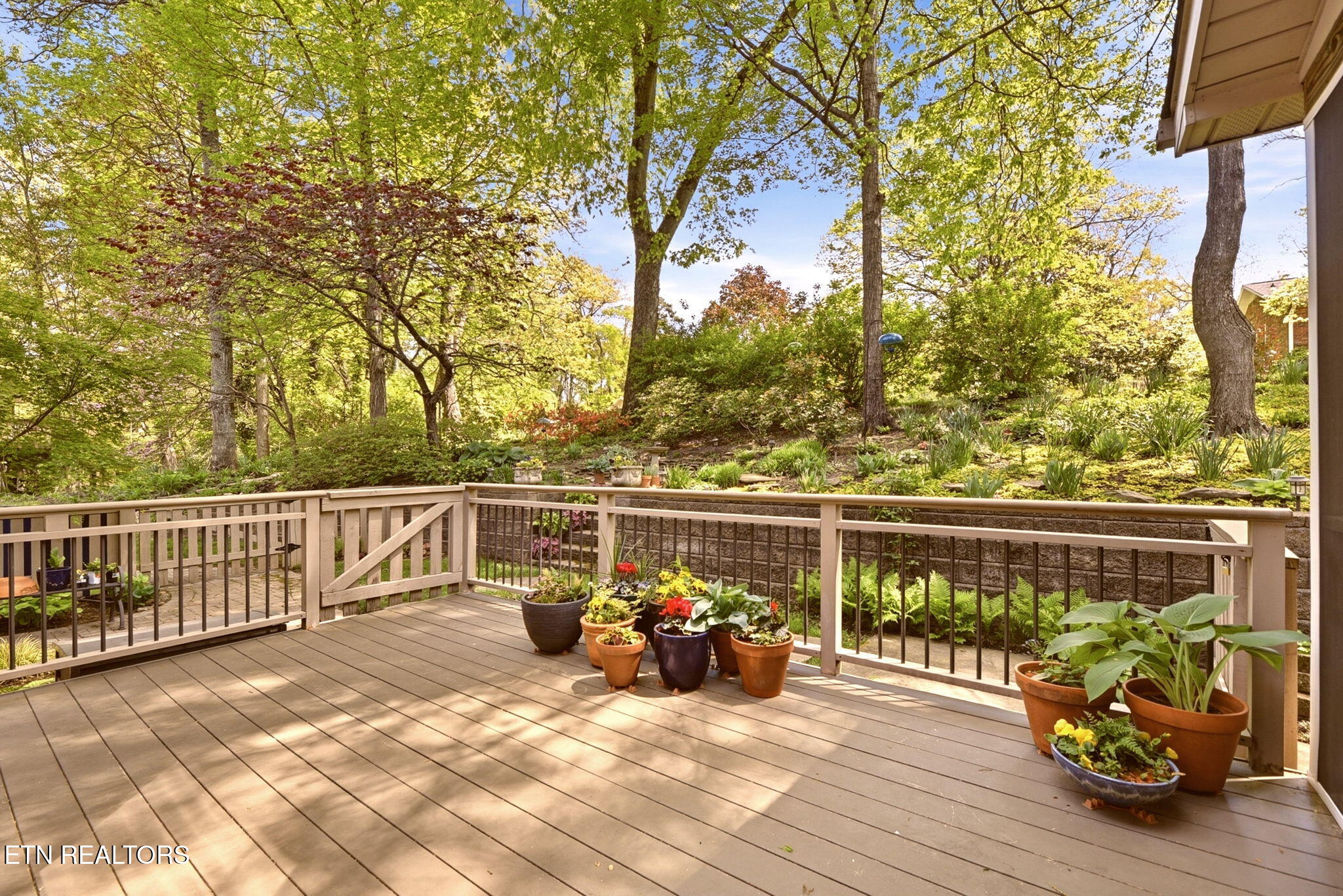 208 Woodland Trace Drive Knoxville TN 37934