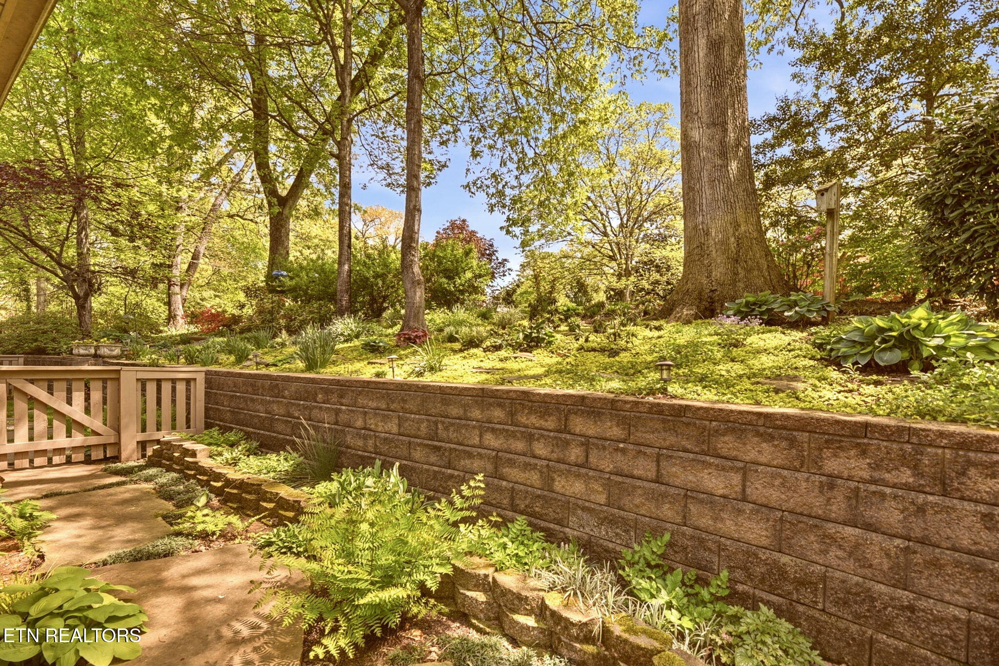 208 Woodland Trace Drive Knoxville TN 37934
