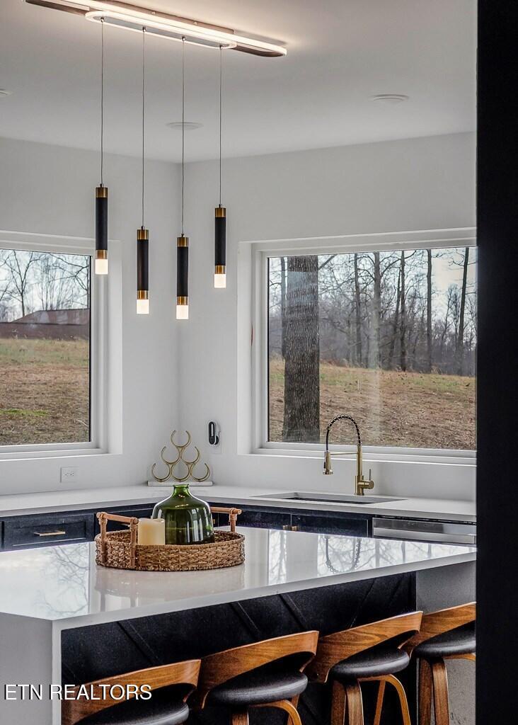 1171 W Hutchins Bend Road Sparta TN 38583