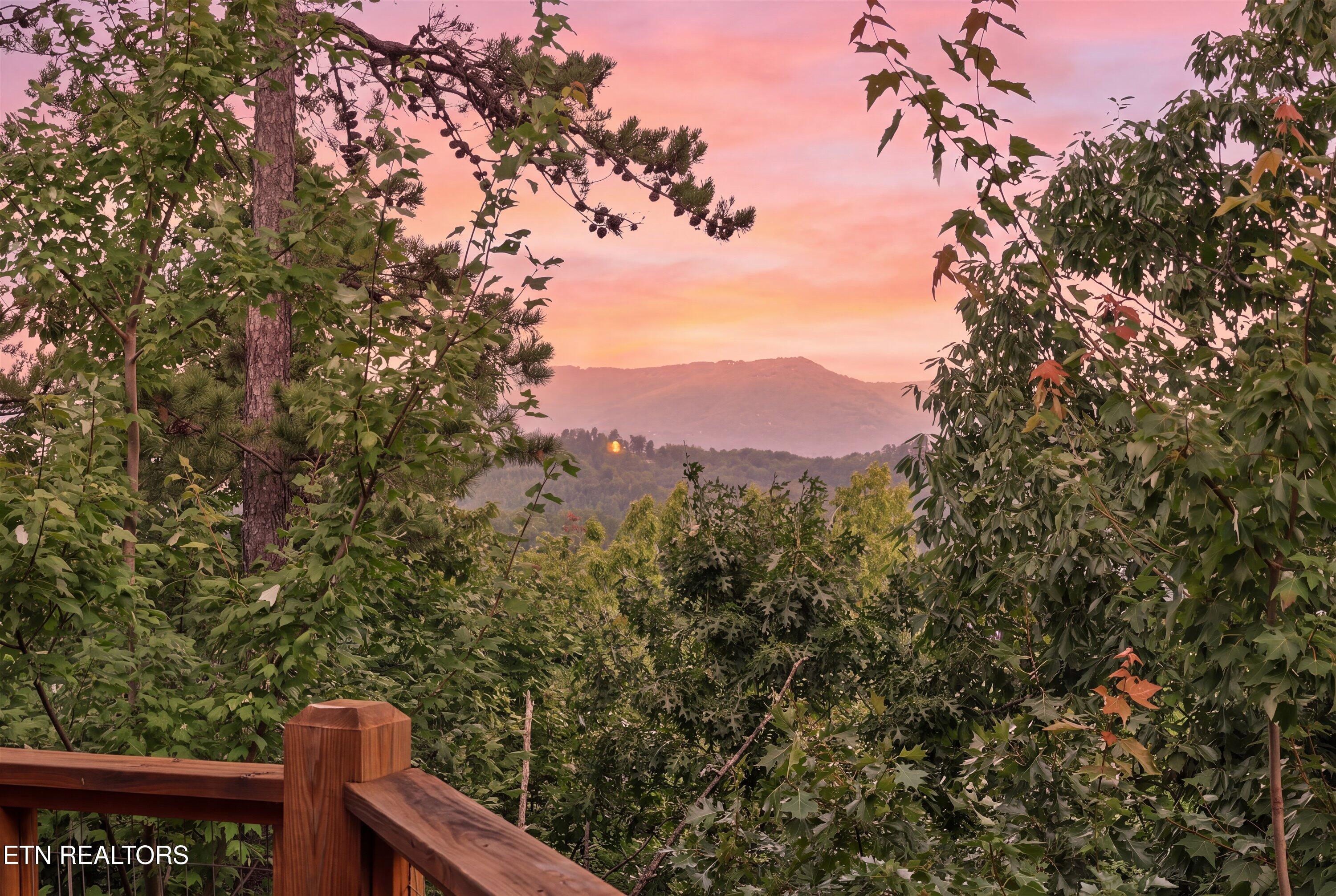 2421 Misty Shadows Drive Sevierville TN 37862