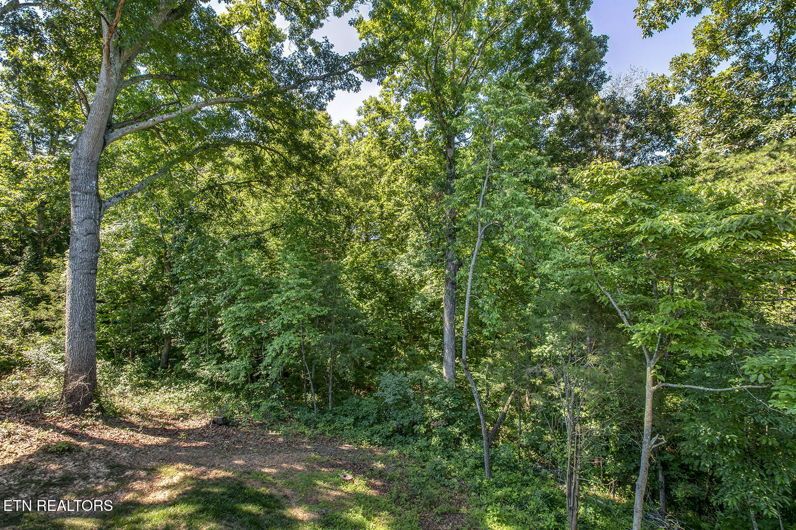 312 Elokwa Lane Loudon TN 37774