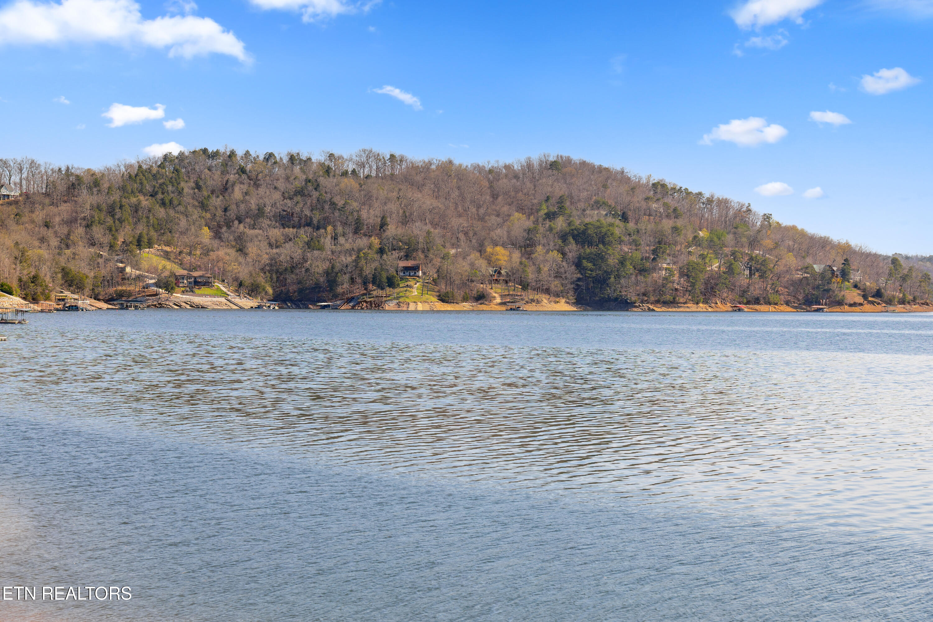 1317 Lakeview Drive Sharps Chapel TN 37866