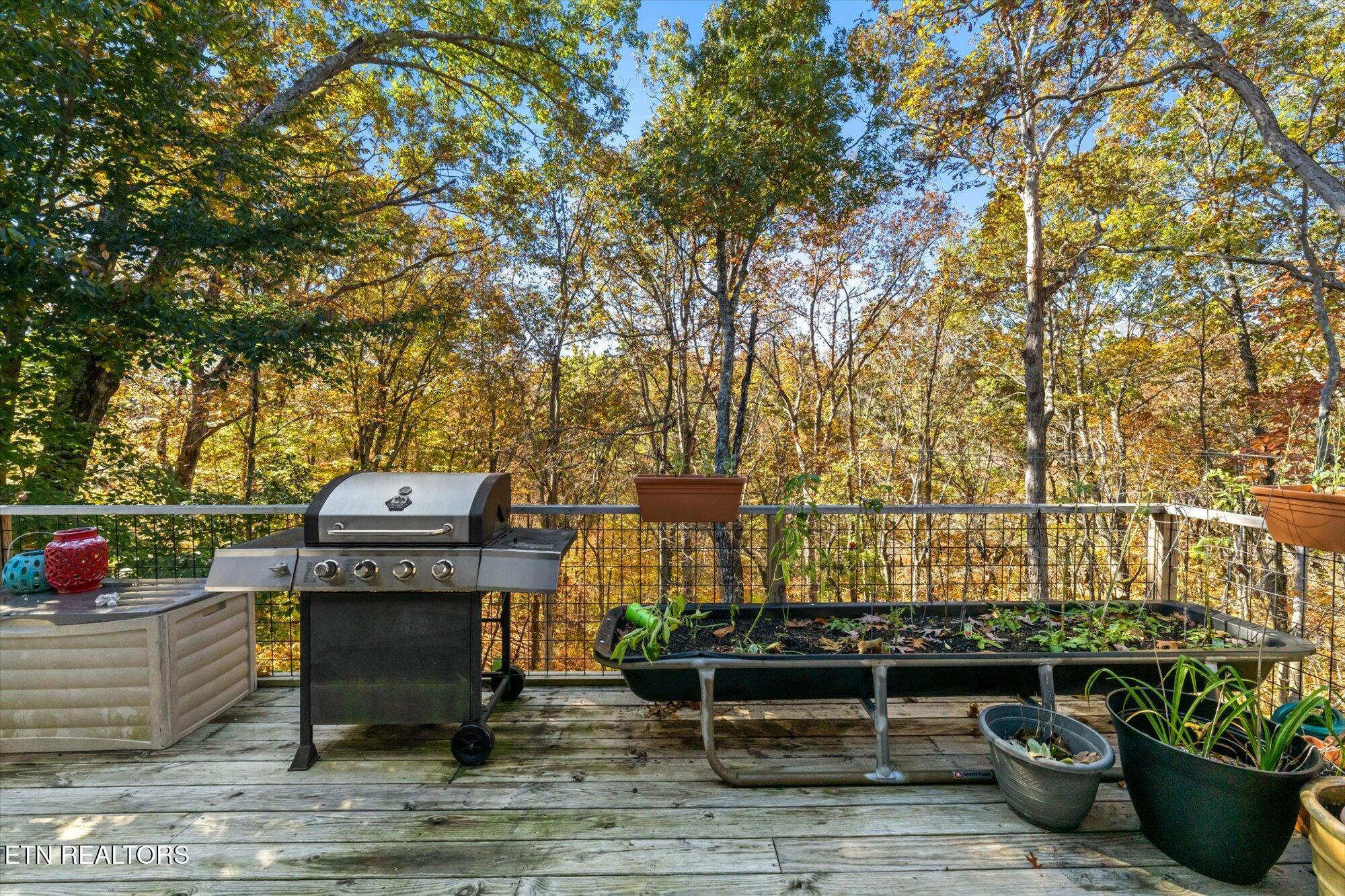 1628 Ridge Road Caryville TN 37714