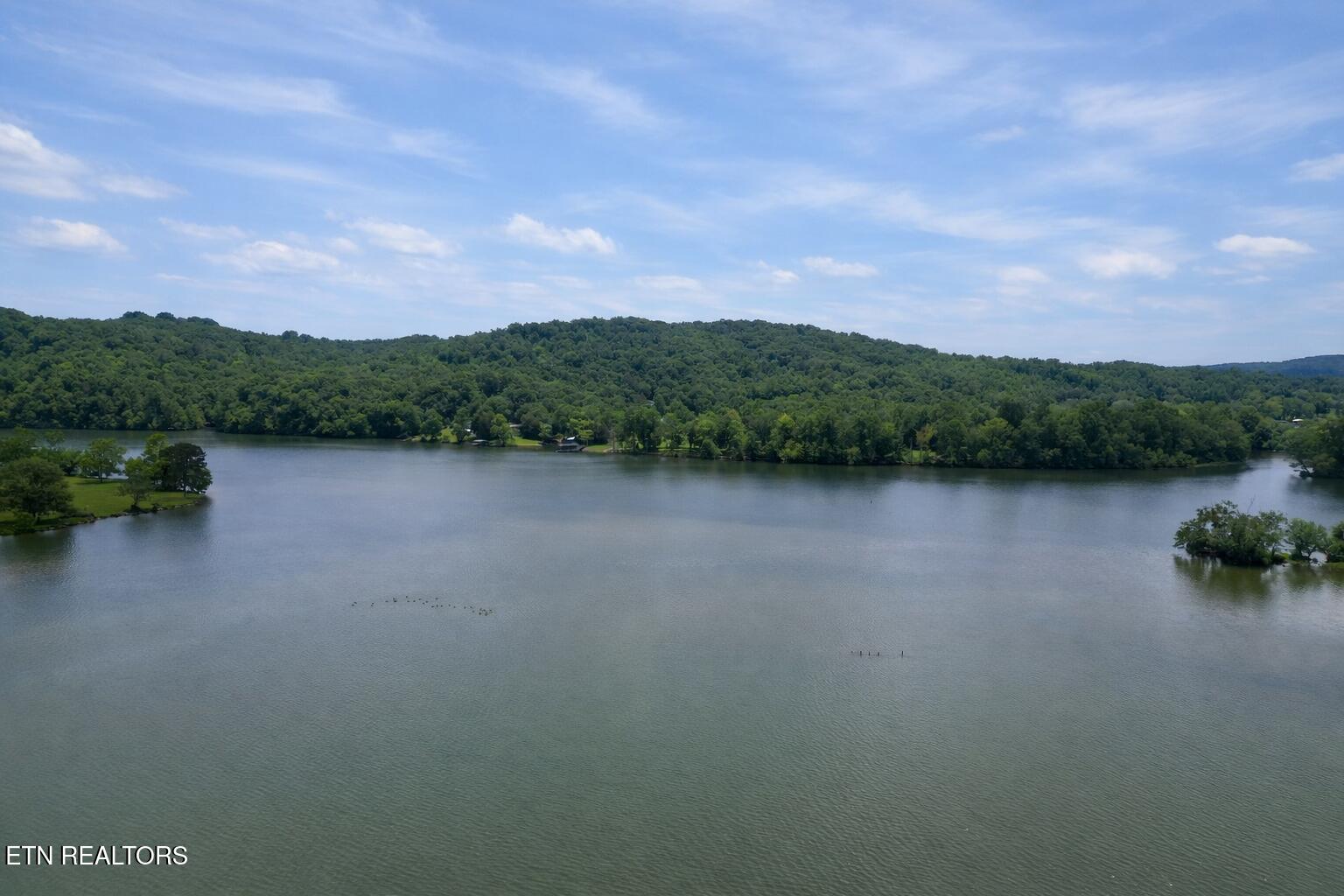 440 Swan Pond Cir Road Harriman TN 37748