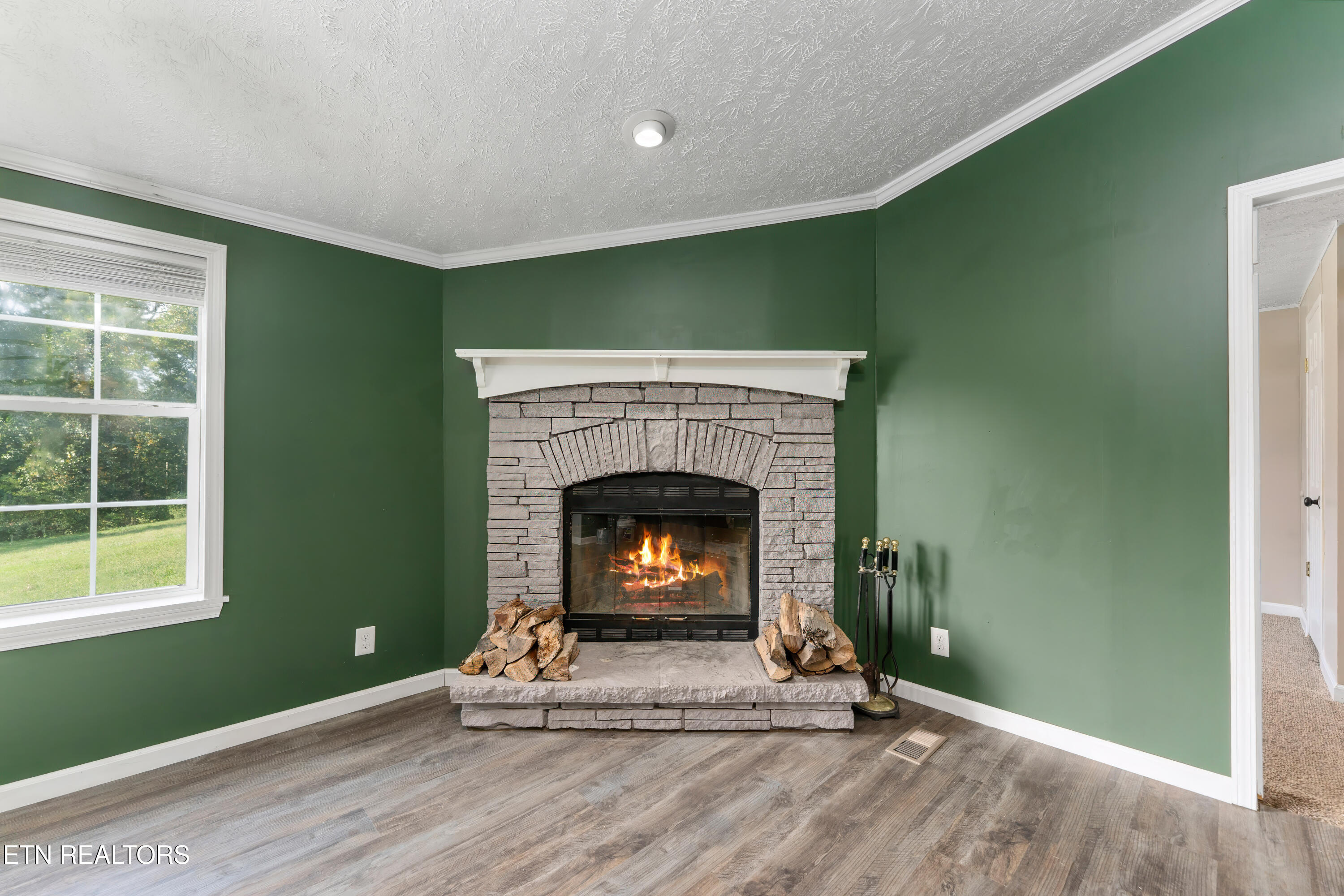 1137 Oakes Vista Lane Seymour TN 37865