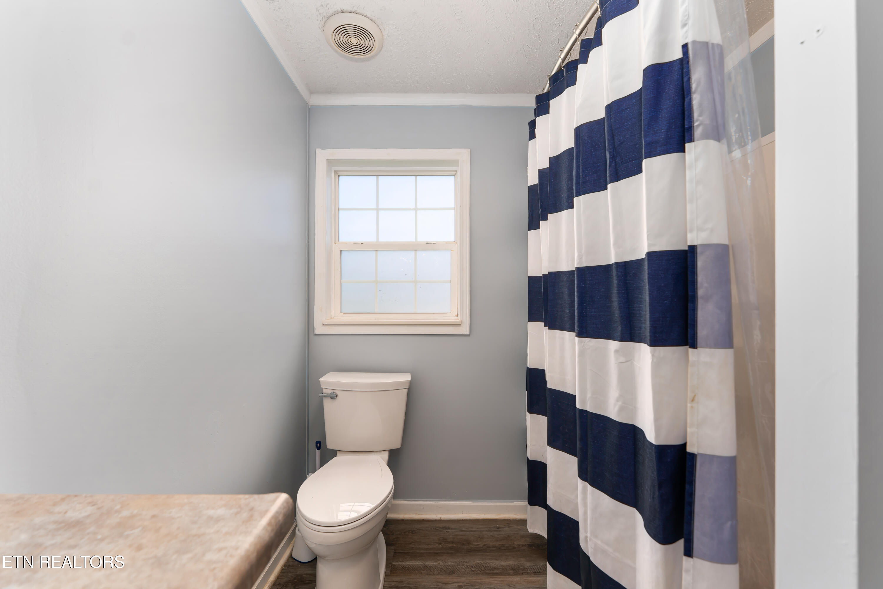 1137 Oakes Vista Lane Seymour TN 37865