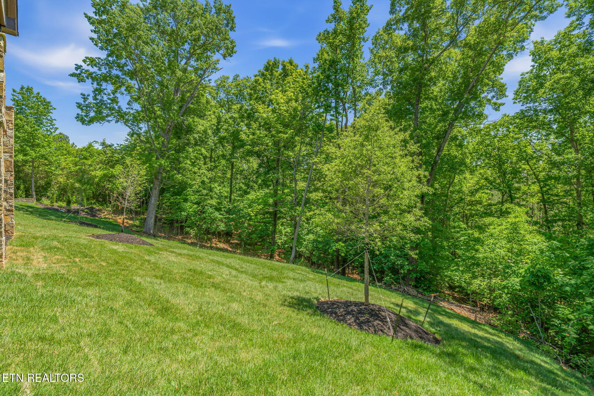 3317 Preserve Pointe Way Louisville TN 37777