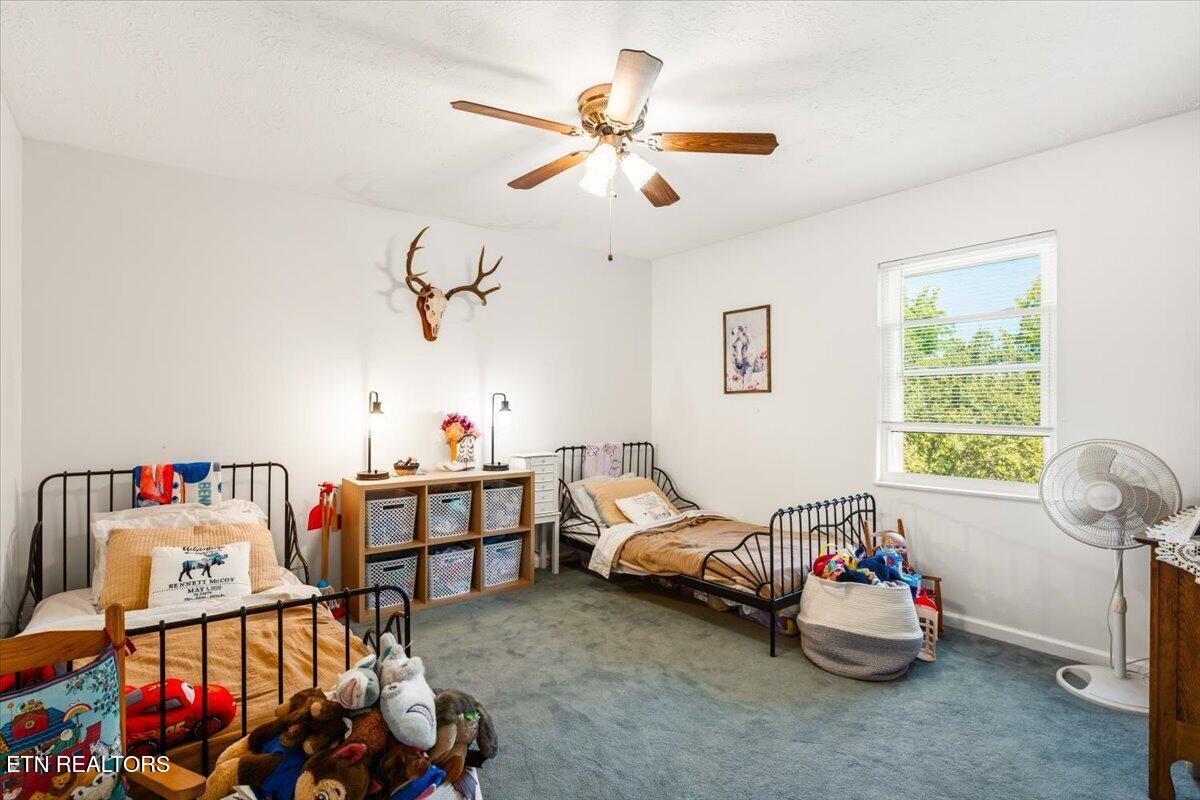 327 Gail Lane Jacksboro TN 37757
