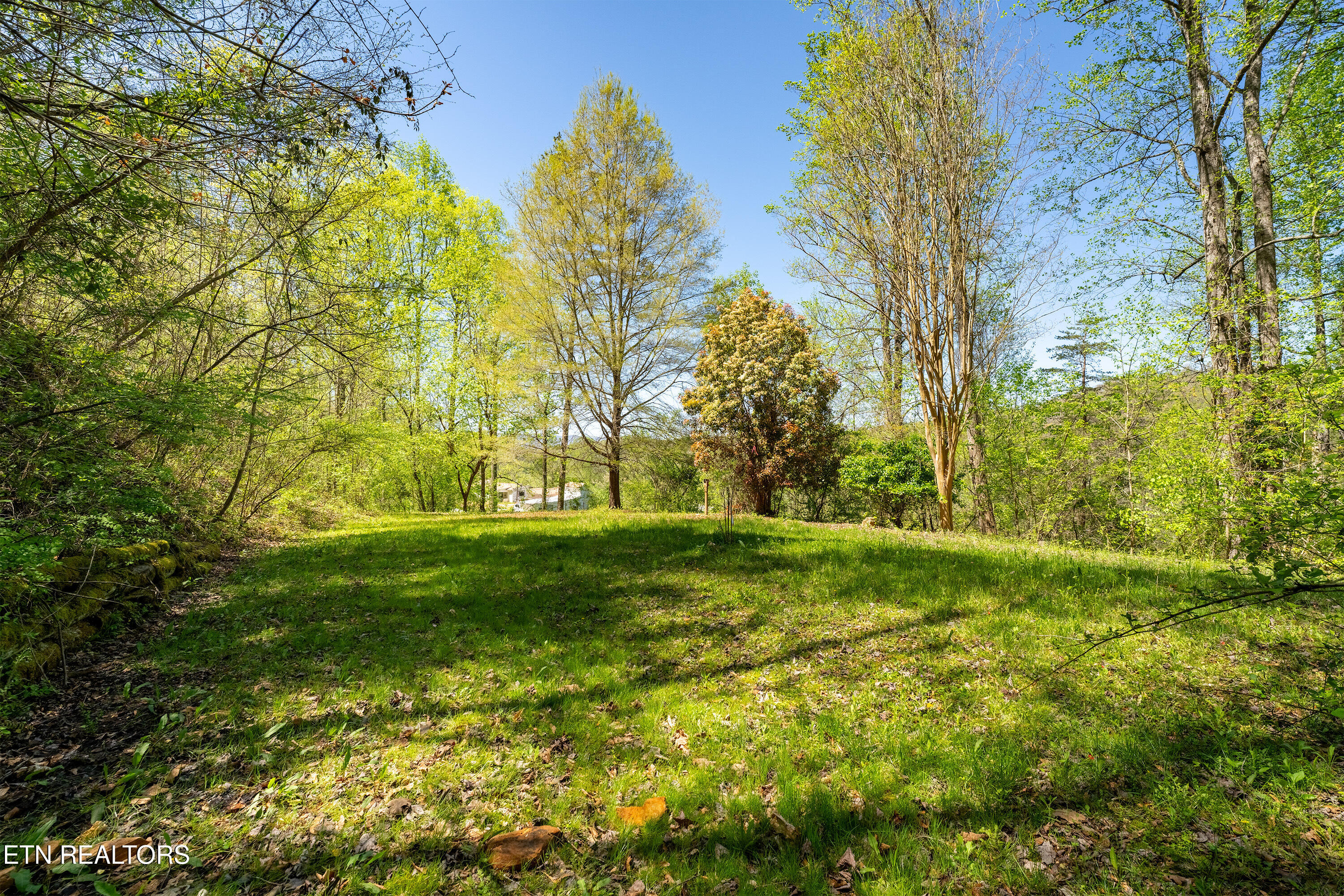 309 River Road Andersonville TN 37705