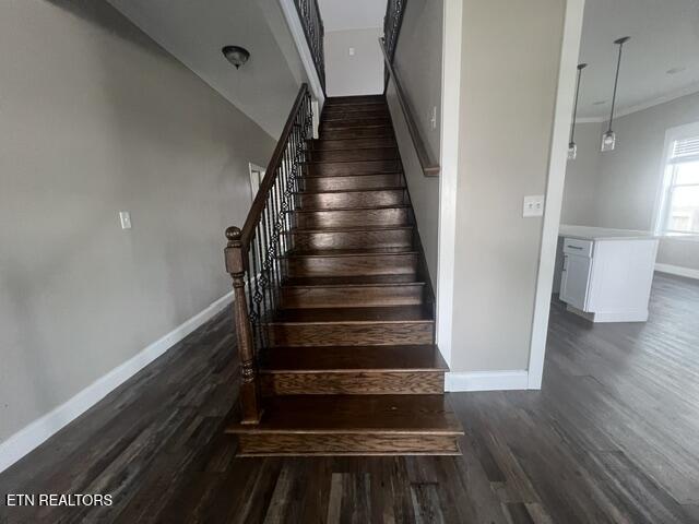 2917 Linden Avenue Knoxville TN 37914