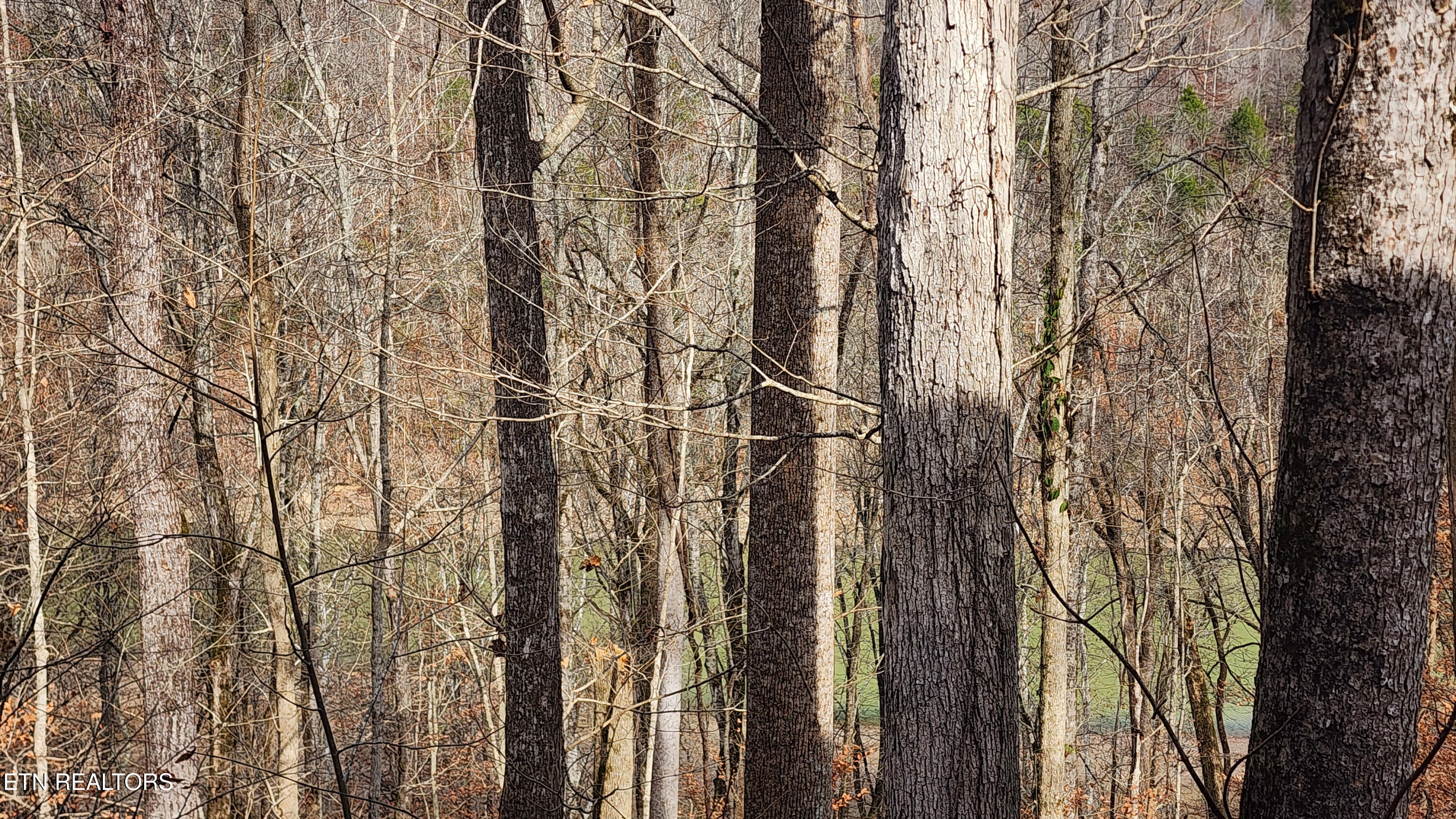 5615 Eastport Road Alpine TN 38543