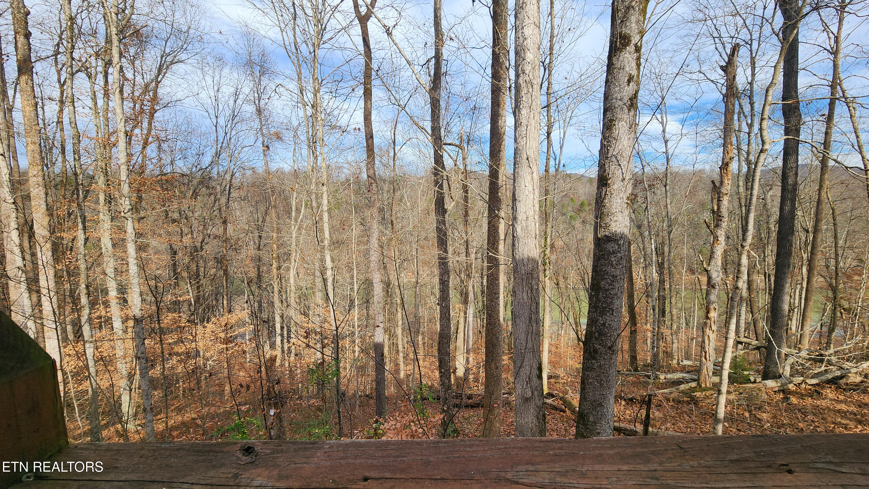 5615 Eastport Road Alpine TN 38543