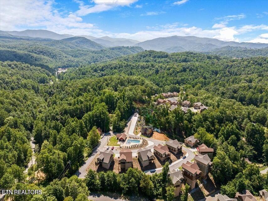 1132 Anastasia Way Gatlinburg TN 37738