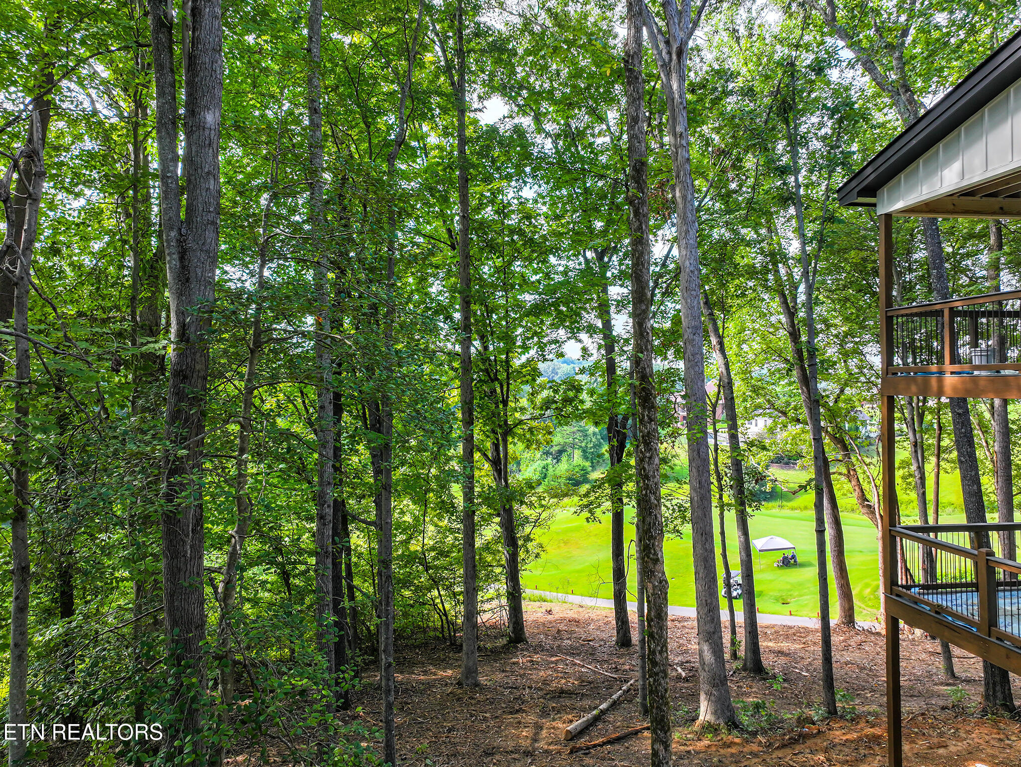 330 Warbler Point Sevierville TN 37876