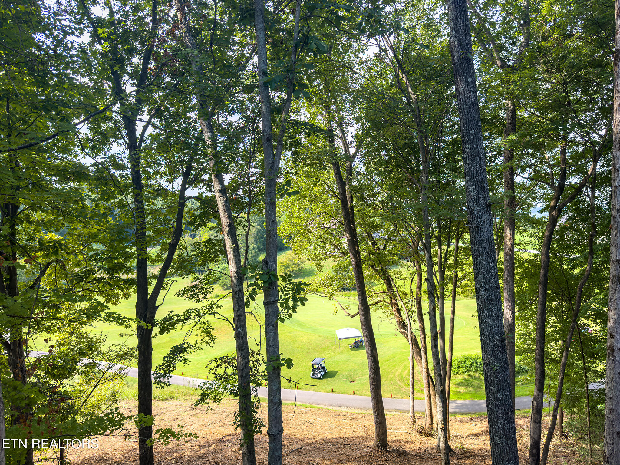 330 Warbler Point Sevierville TN 37876