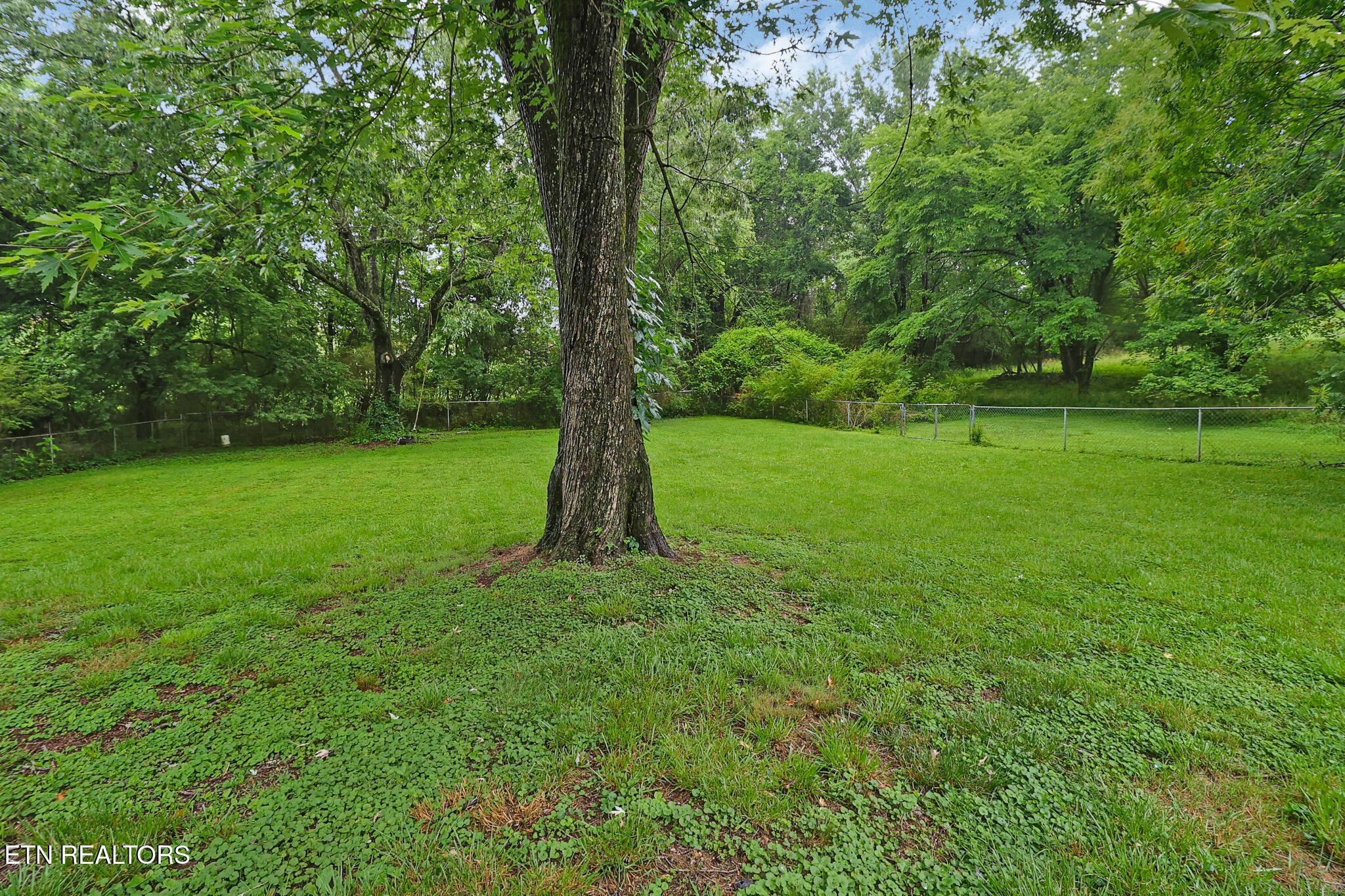 130 Shubert Street Kingston TN 37763