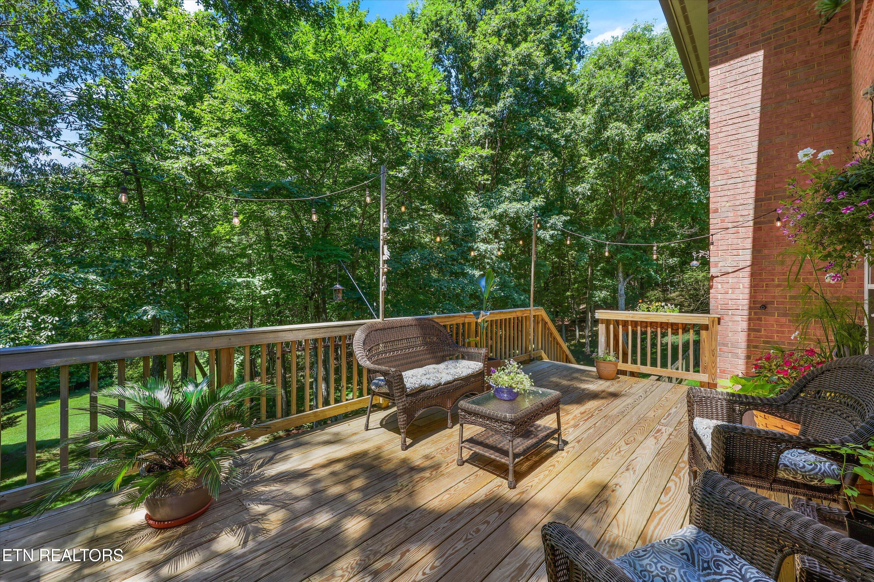 12529 High Forest Lane Knoxville TN 37934