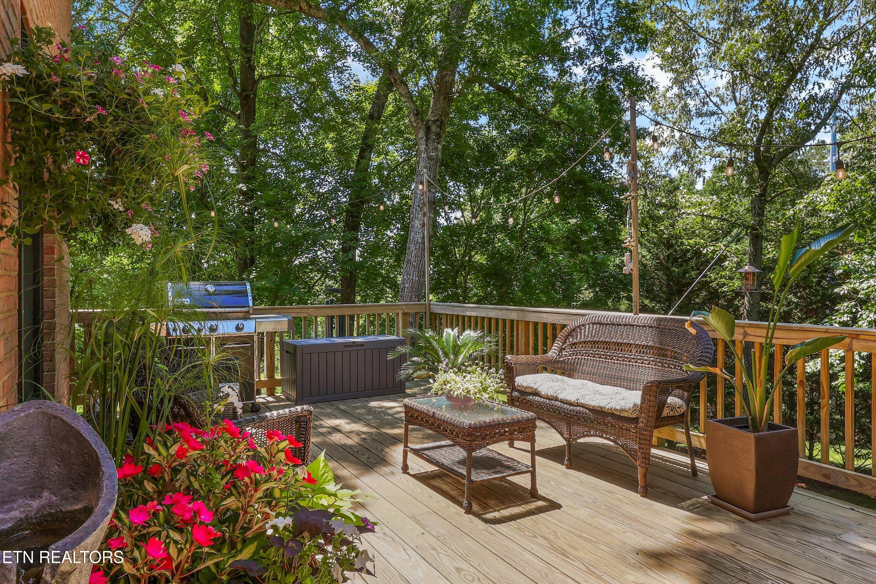 12529 High Forest Lane Knoxville TN 37934