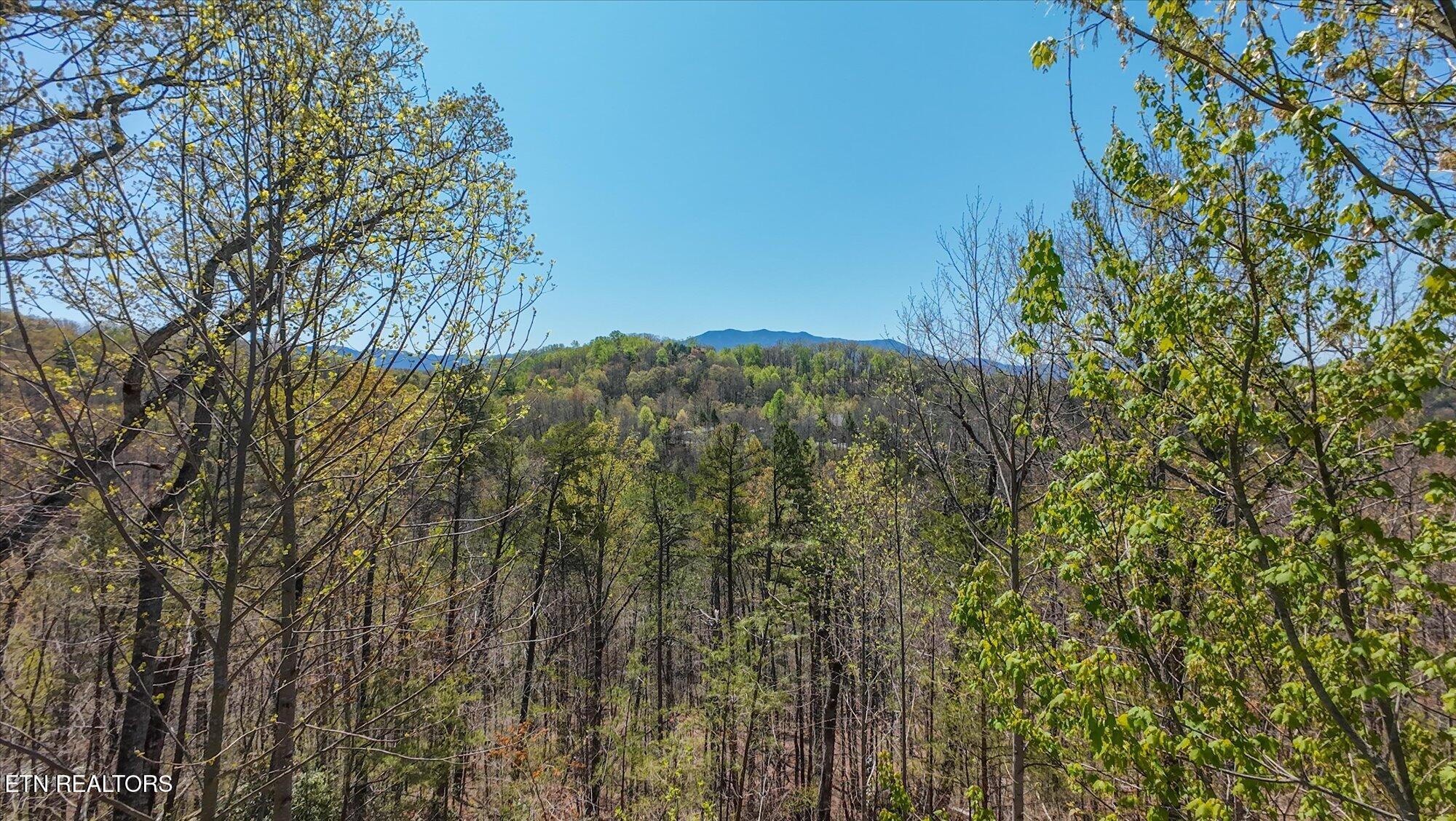 2169 King Hollow Road Sevierville TN 37876