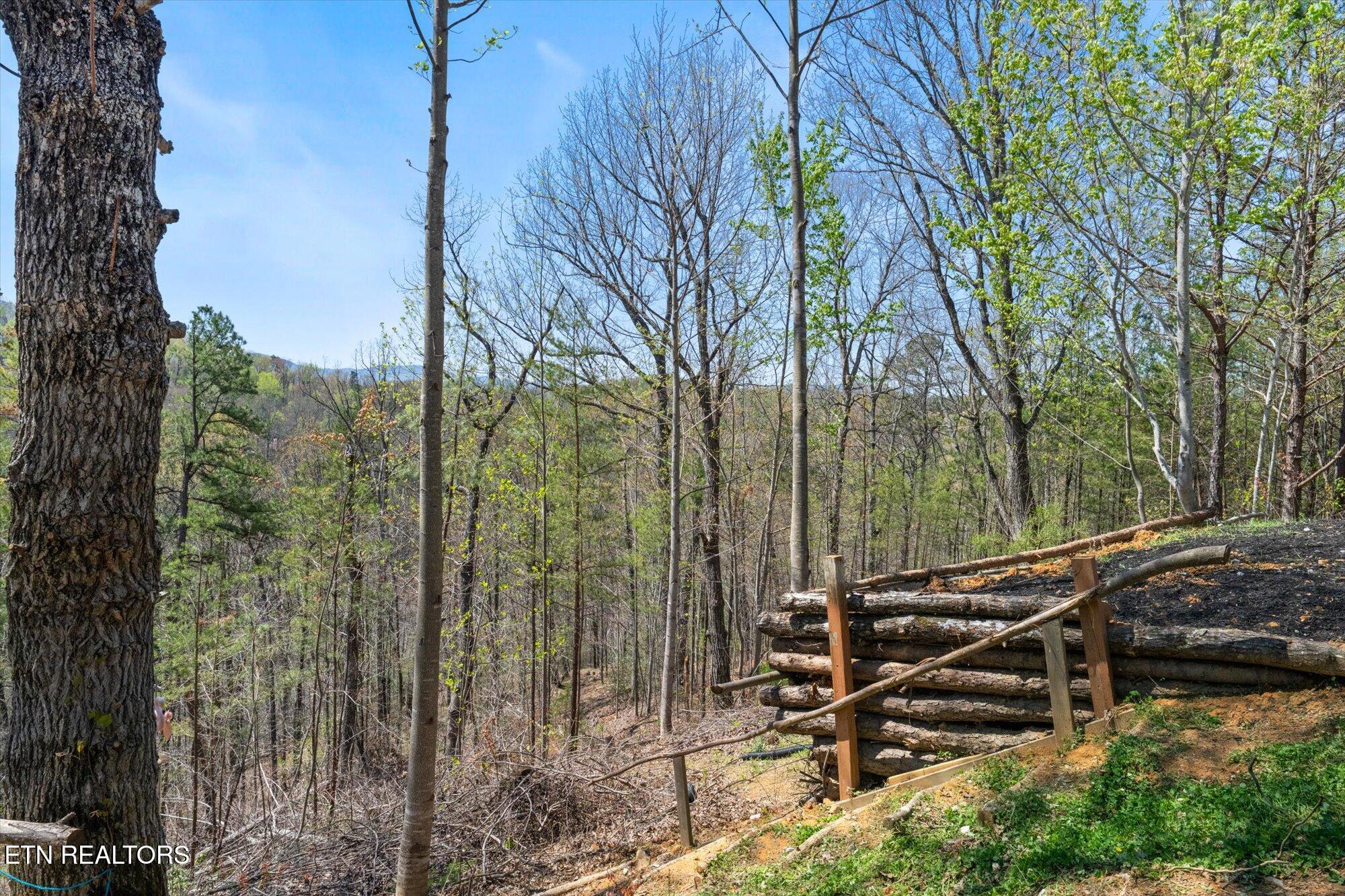 2169 King Hollow Road Sevierville TN 37876