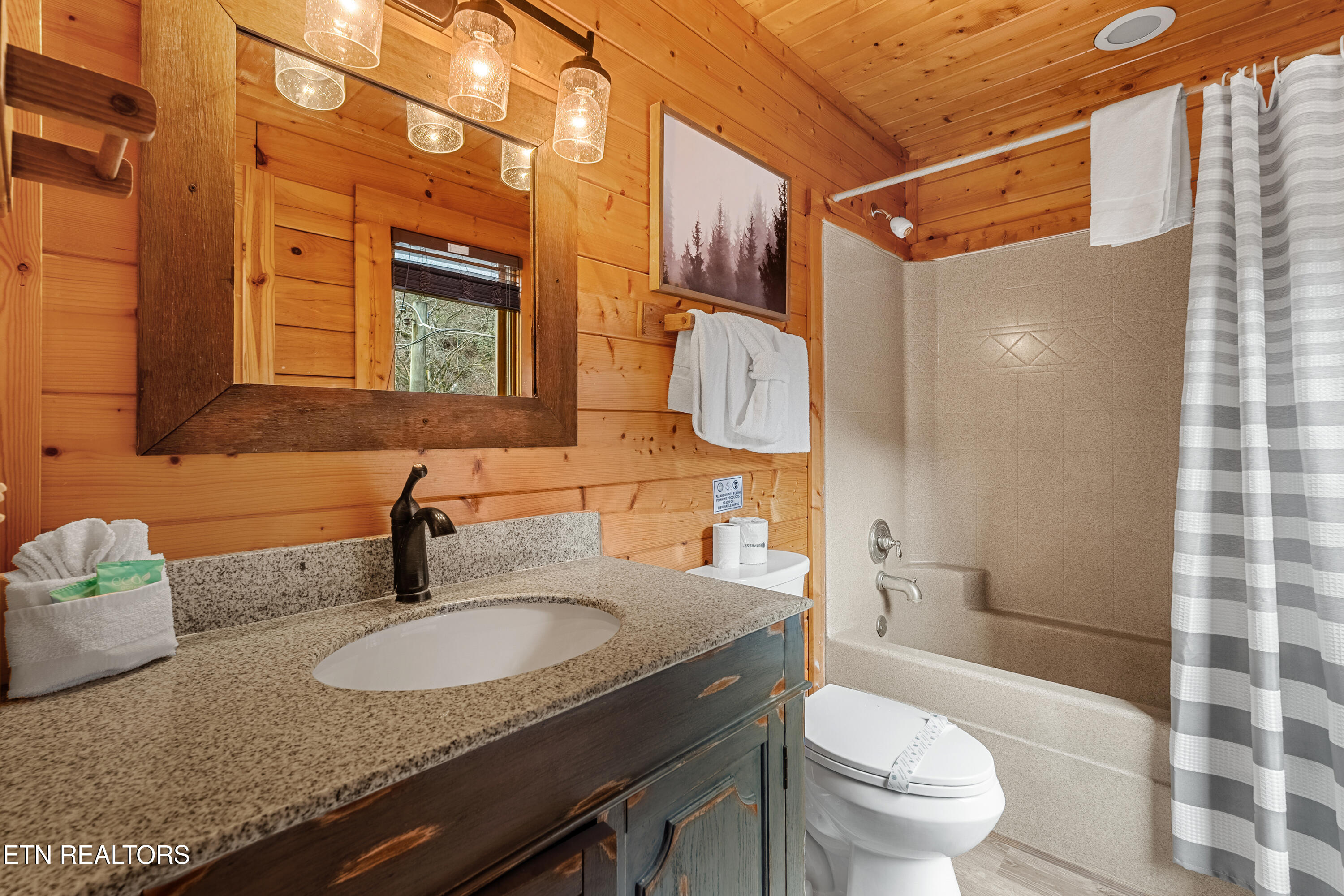 315 Caney Creek Road Pigeon Forge TN 37863