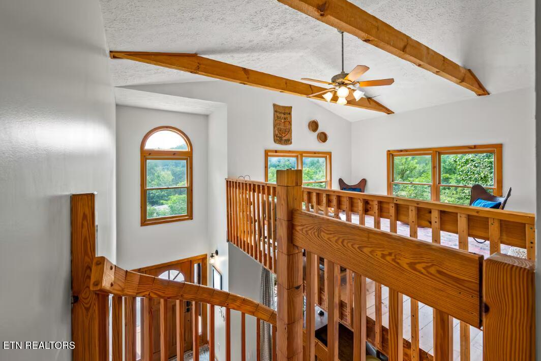 2489 Upper Middle Creek Road Sevierville TN 37876
