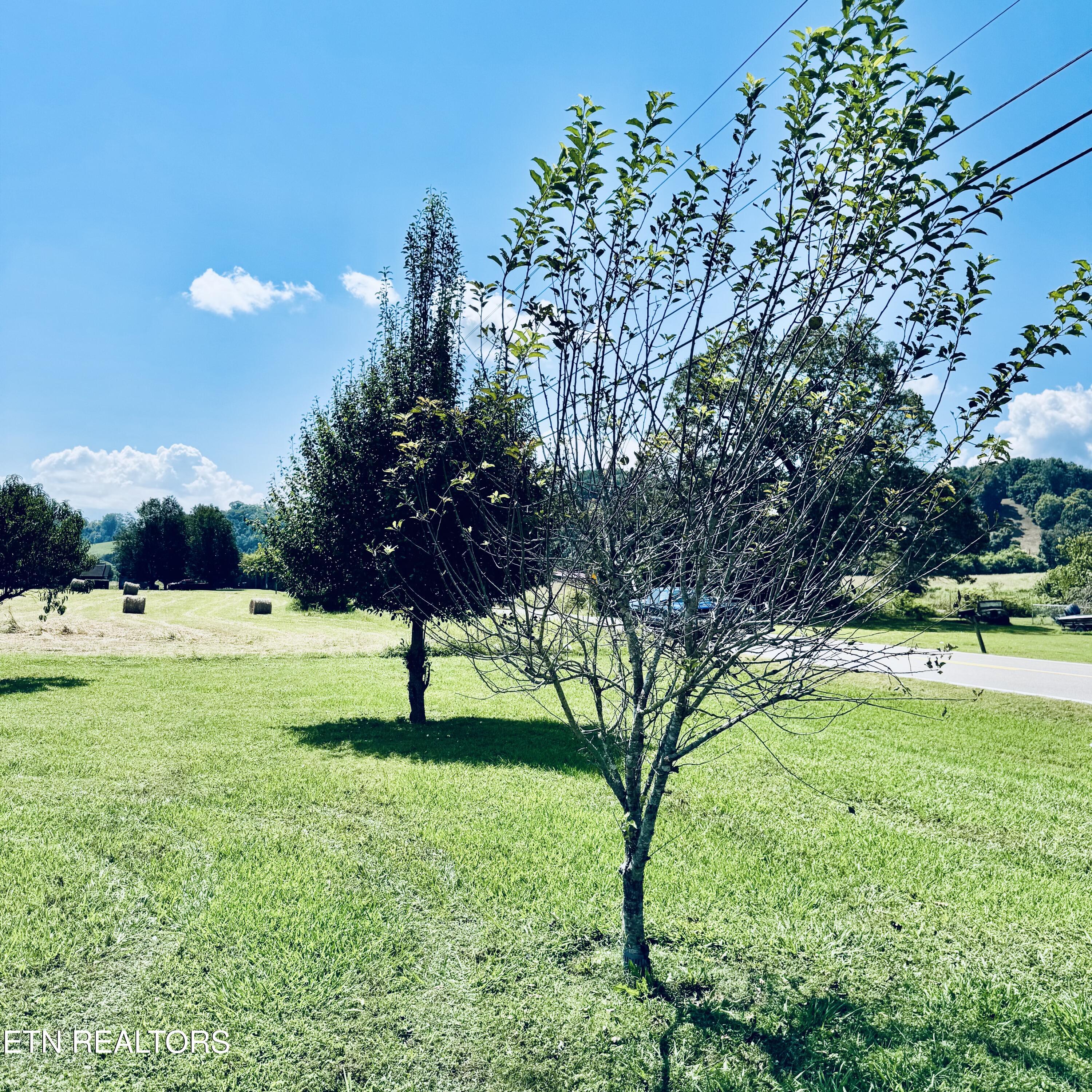 2970 Boyds Creek Highway Sevierville TN 37876