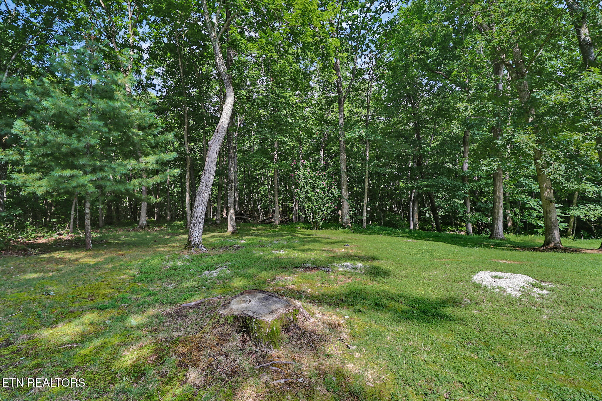 1104 Belmont Drive Monterey TN 38574
