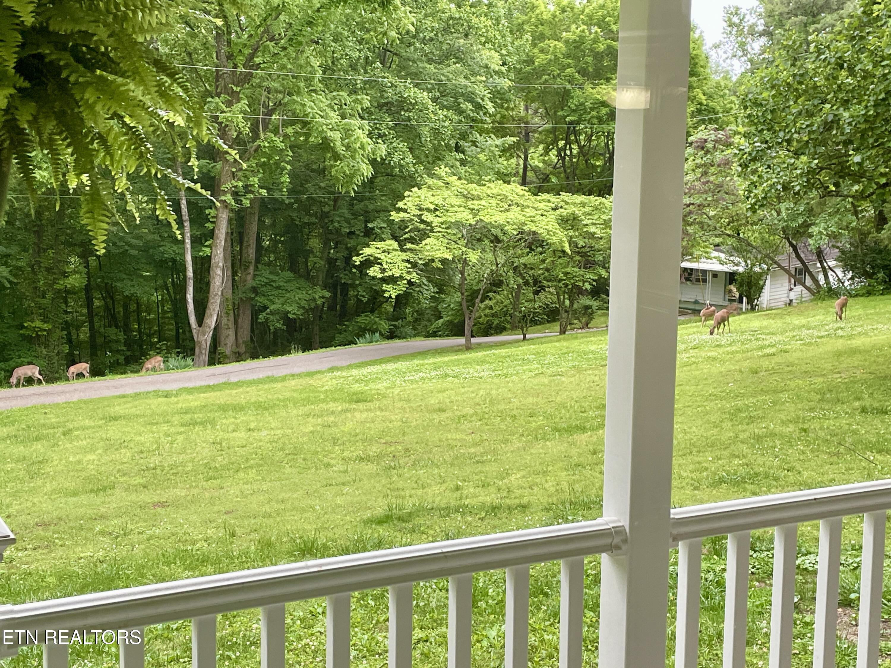 8452 Carr Lane Knoxville TN 37938