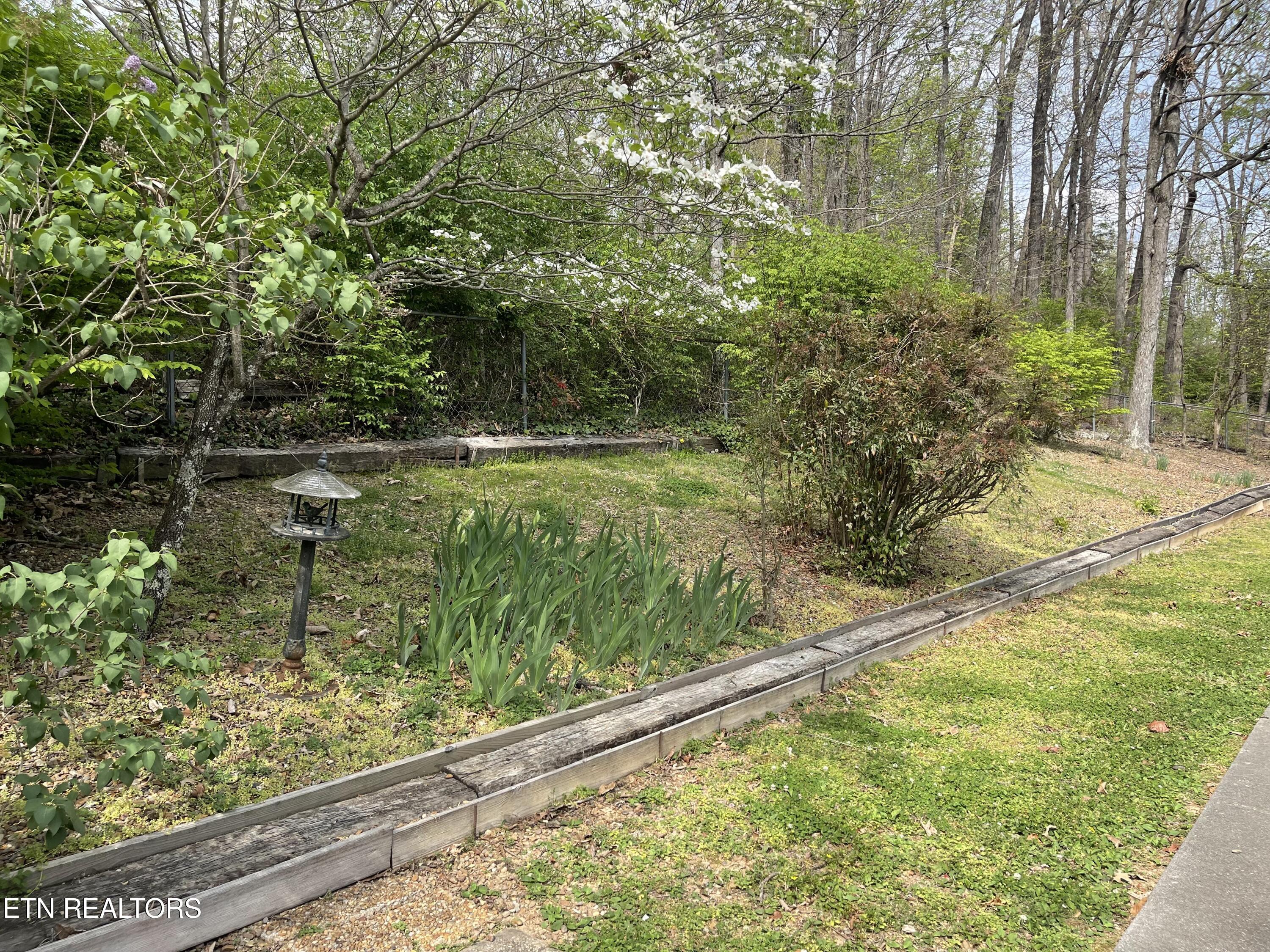 1001 Buckthorn Drive Knoxville TN 37912