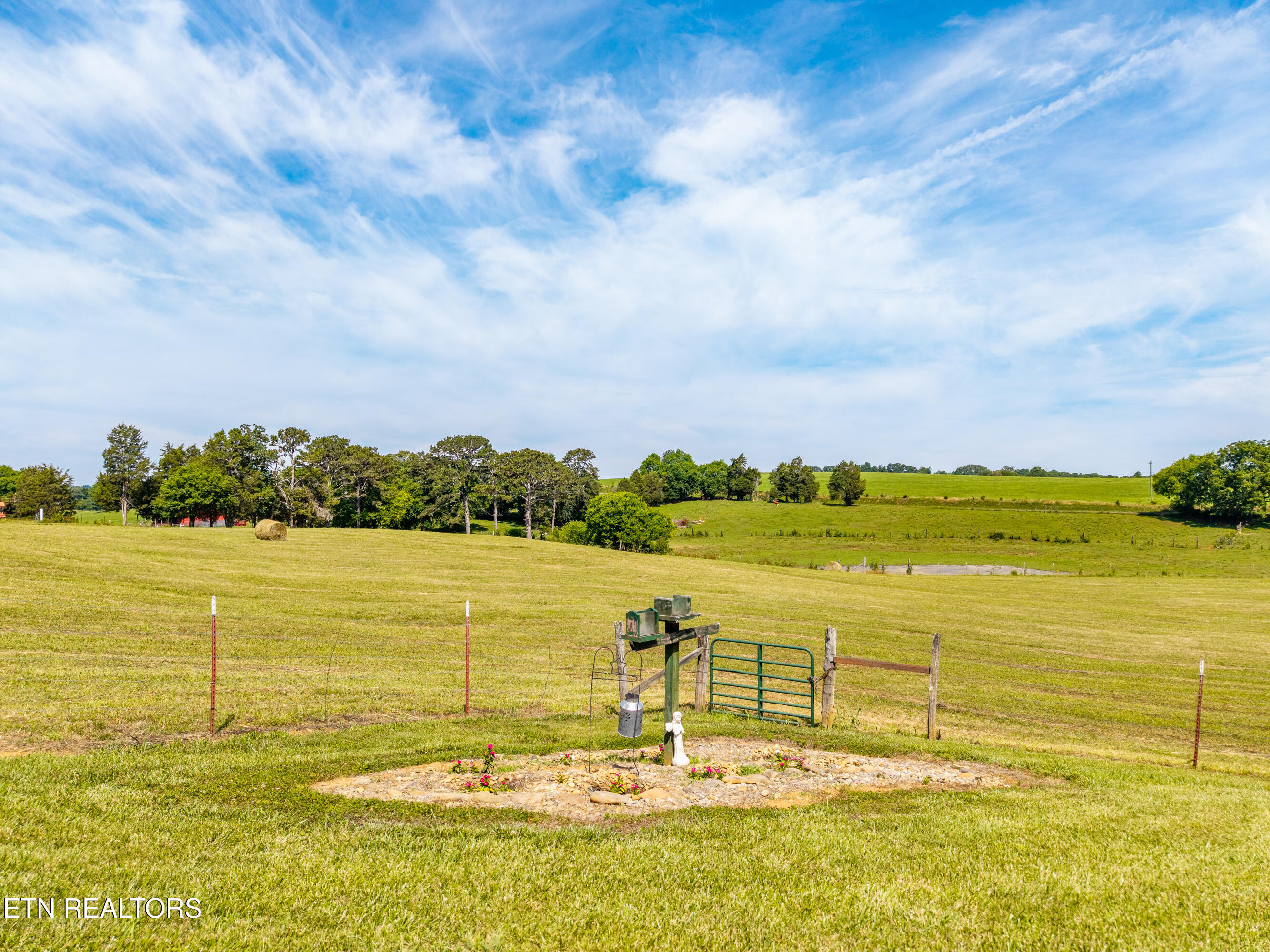 3995 W Meadow Road Greenback TN 37742