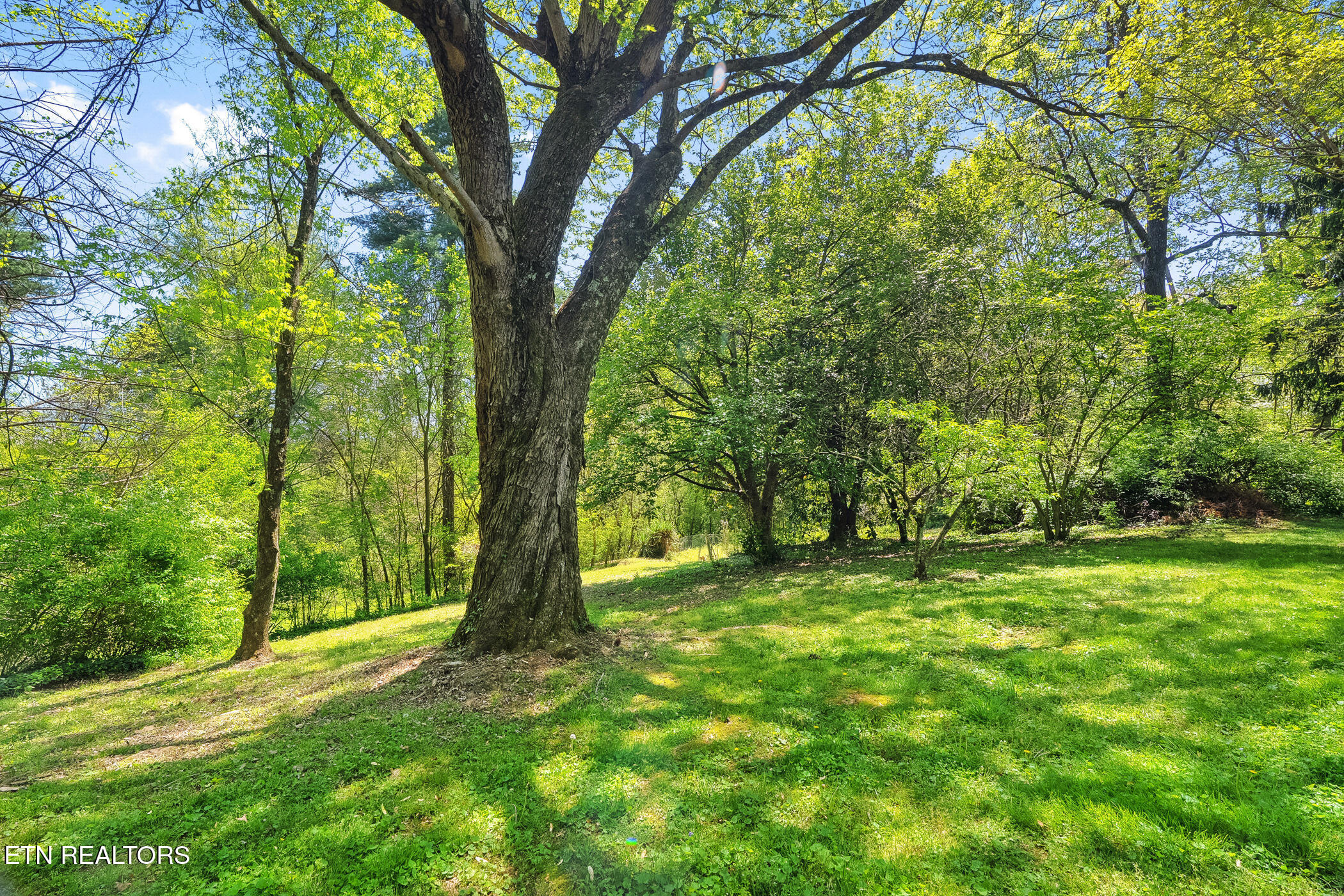 11310 Sonja Drive Knoxville TN 37934