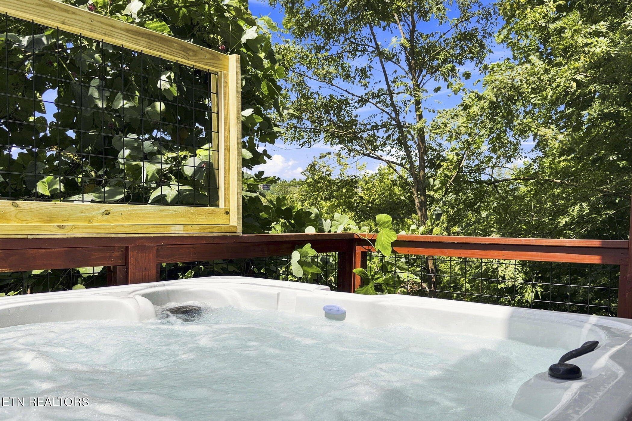 245 Brownsridge Road Gatlinburg TN 37738