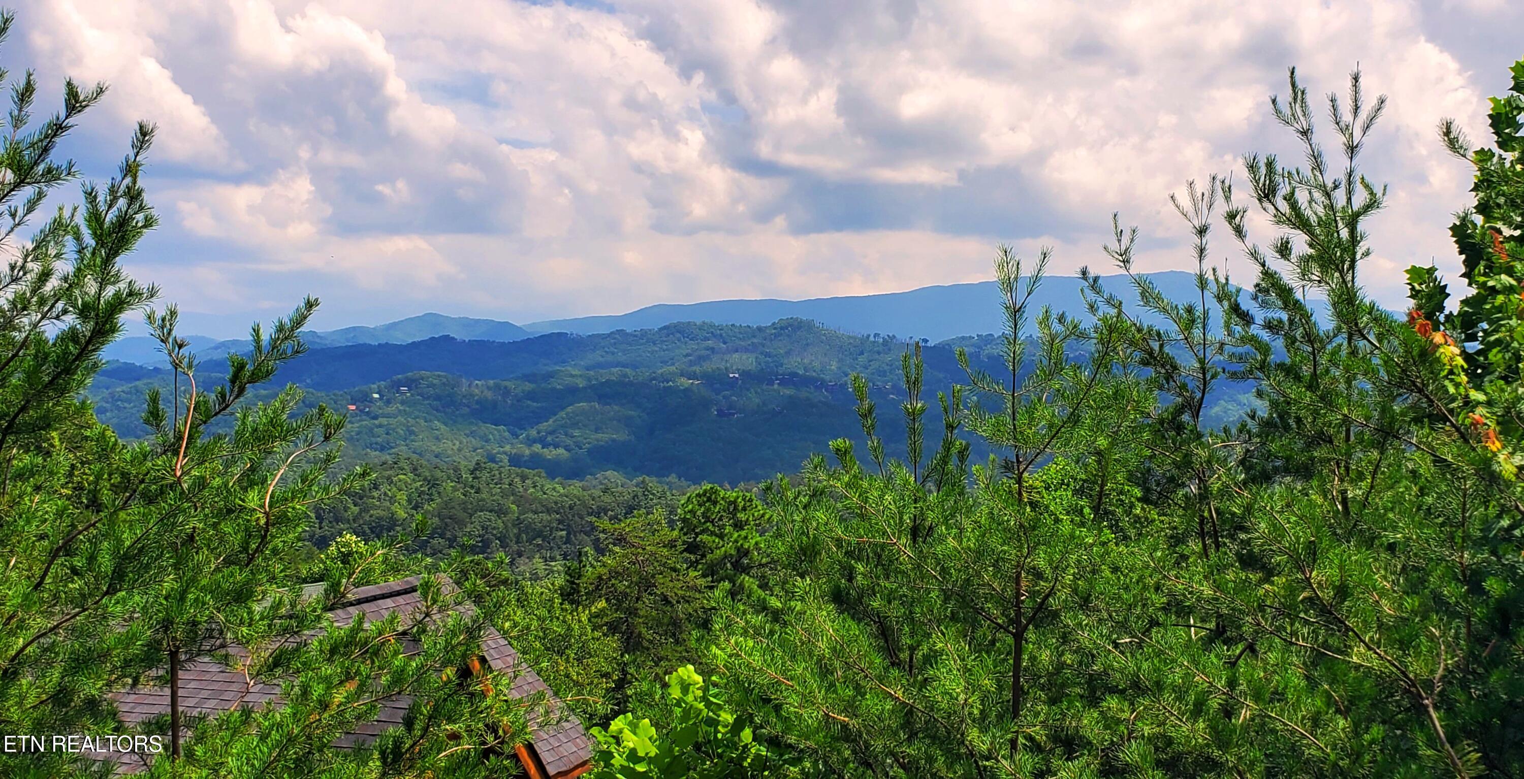 2705 Sawmill Branch Drive Sevierville TN 37862