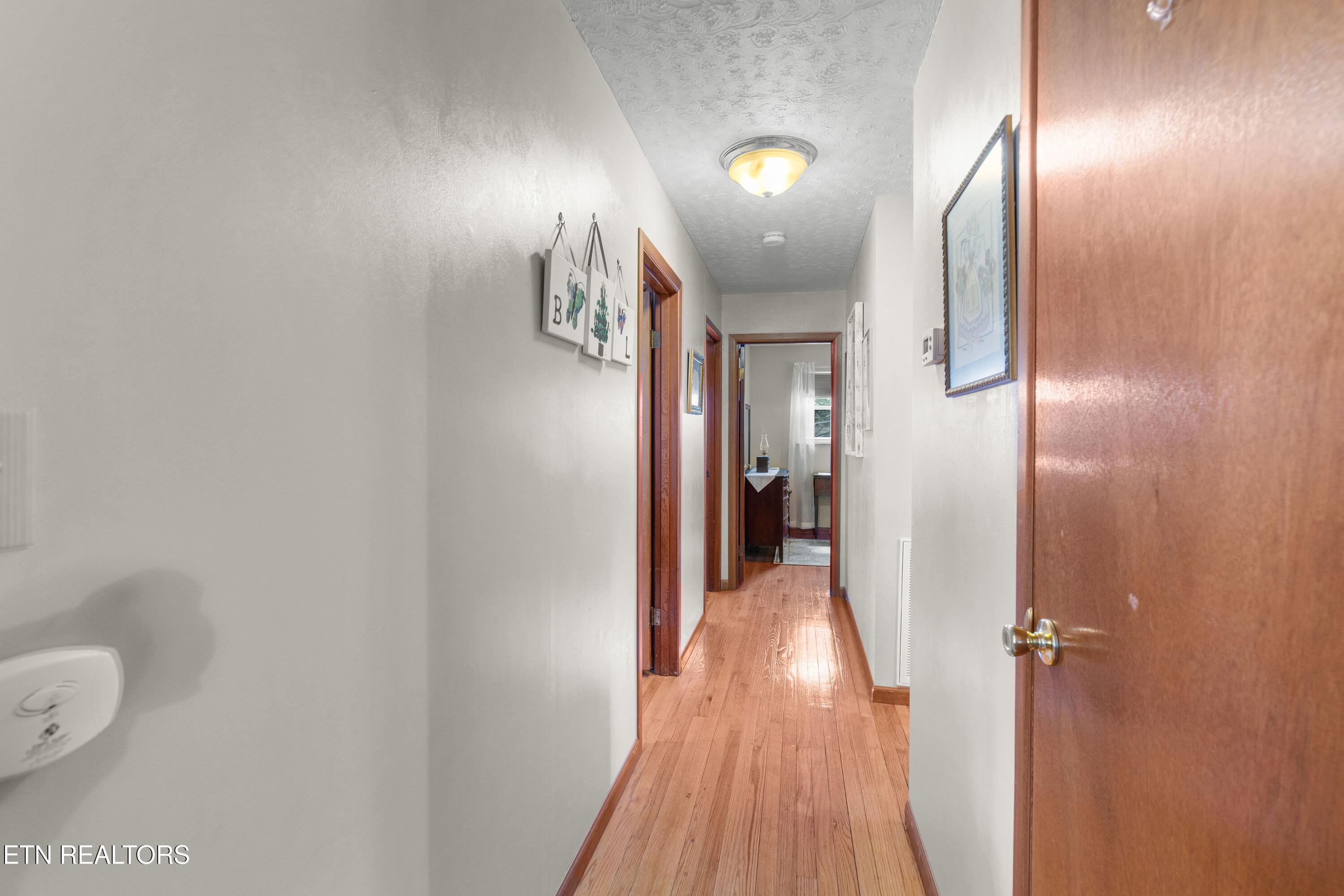 2559 Dogwood Lane Talbott TN 37877