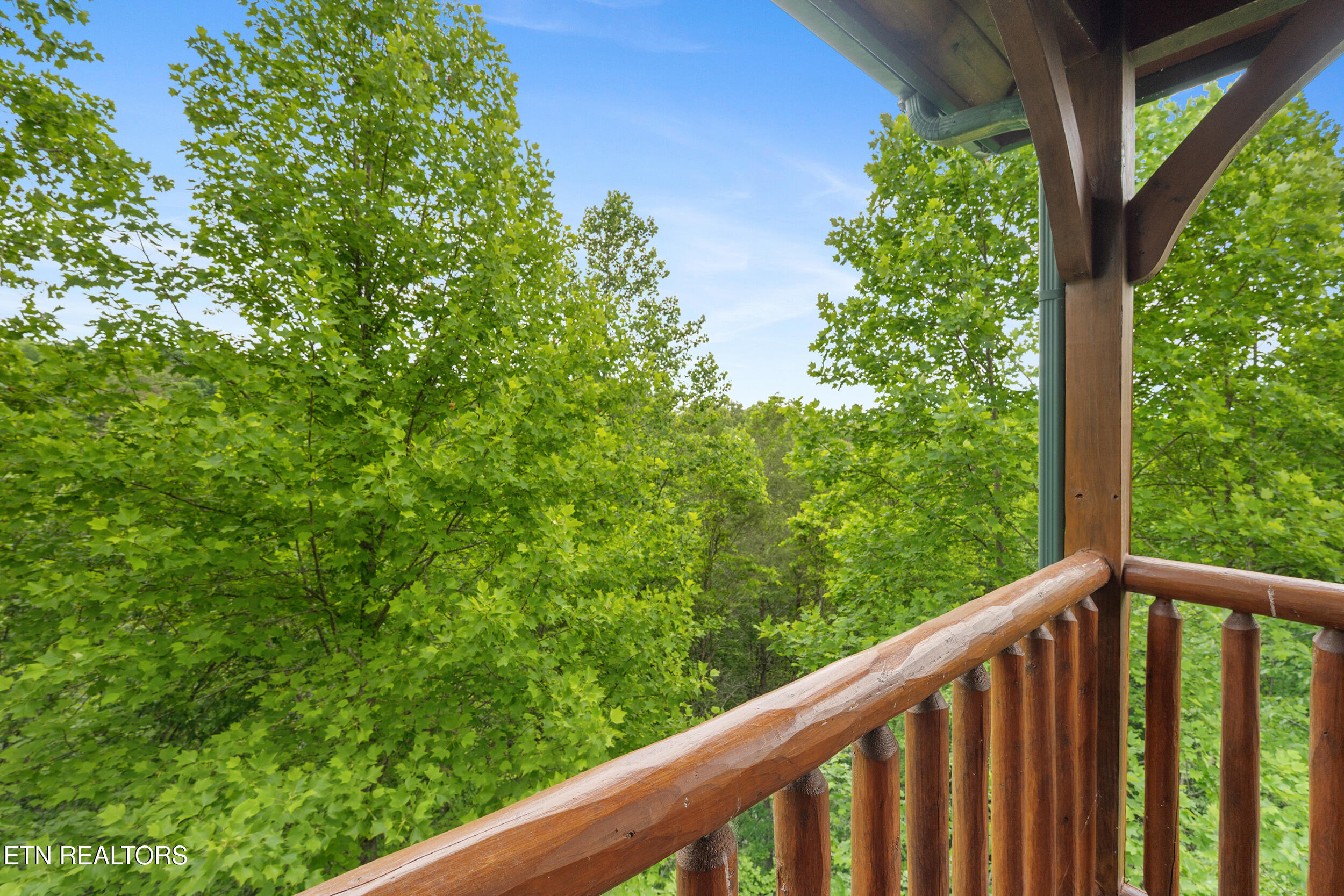 213 Dogwood Point Way Gatlinburg TN 37738