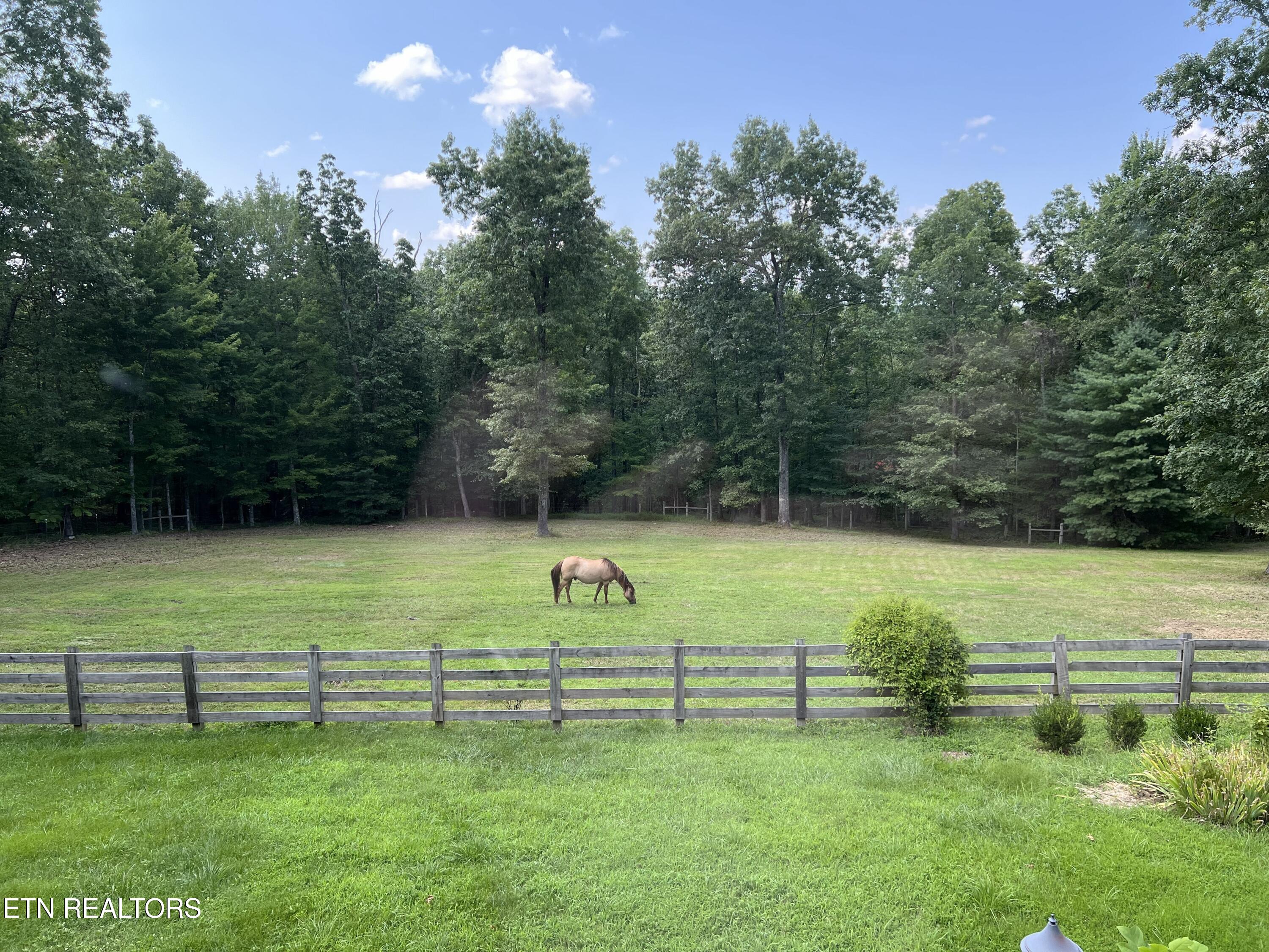402 Charit Trail Jamestown TN 38556